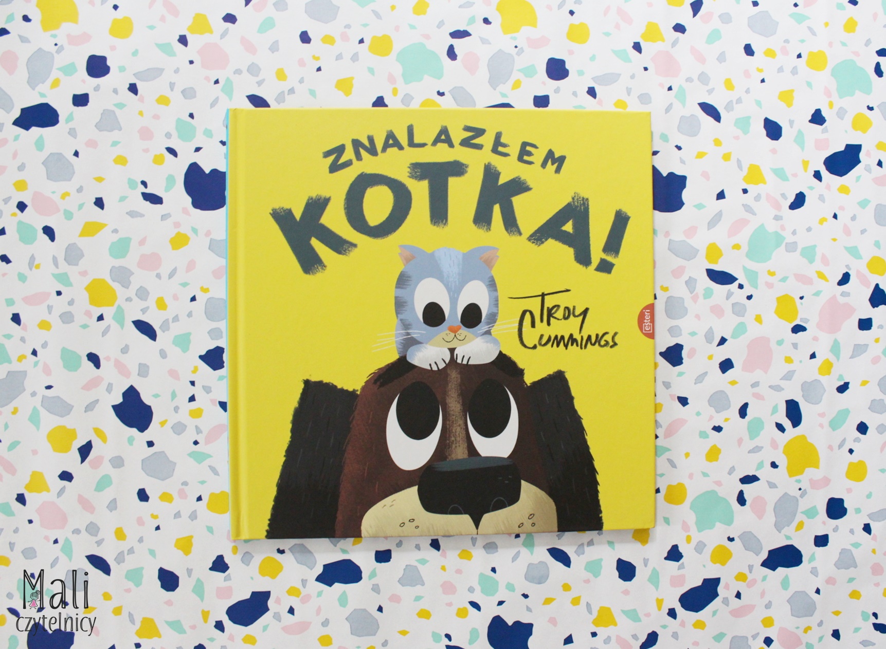 Znalazłem kotka!