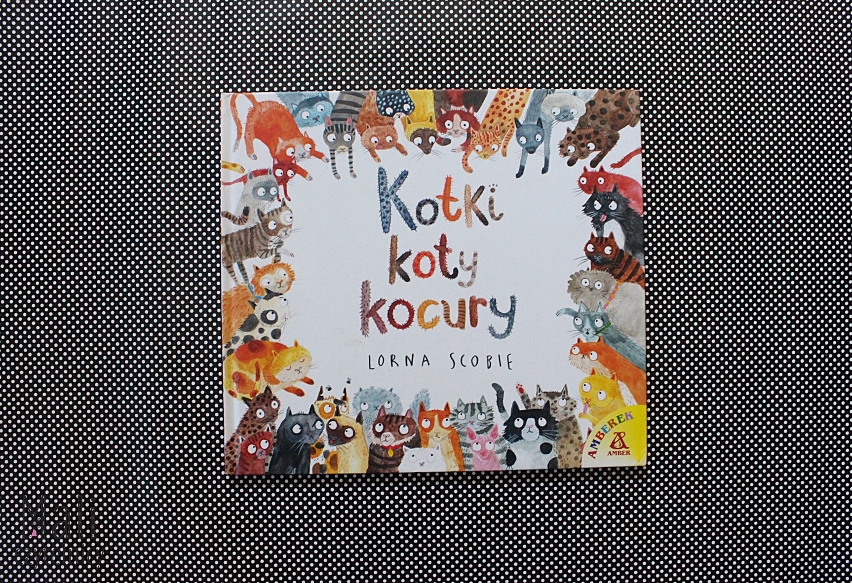 Kotki, koty, kocury