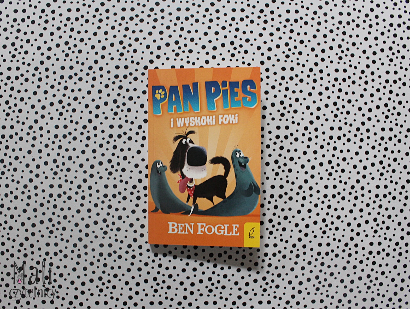 Pan Pies i wyskoki foki