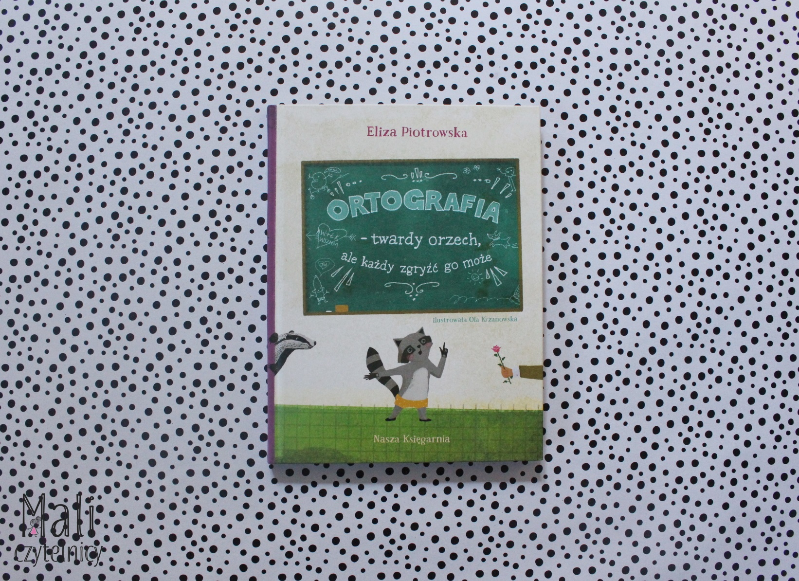 Ortografia – twardy orzech, ale każdy zgryźć go może