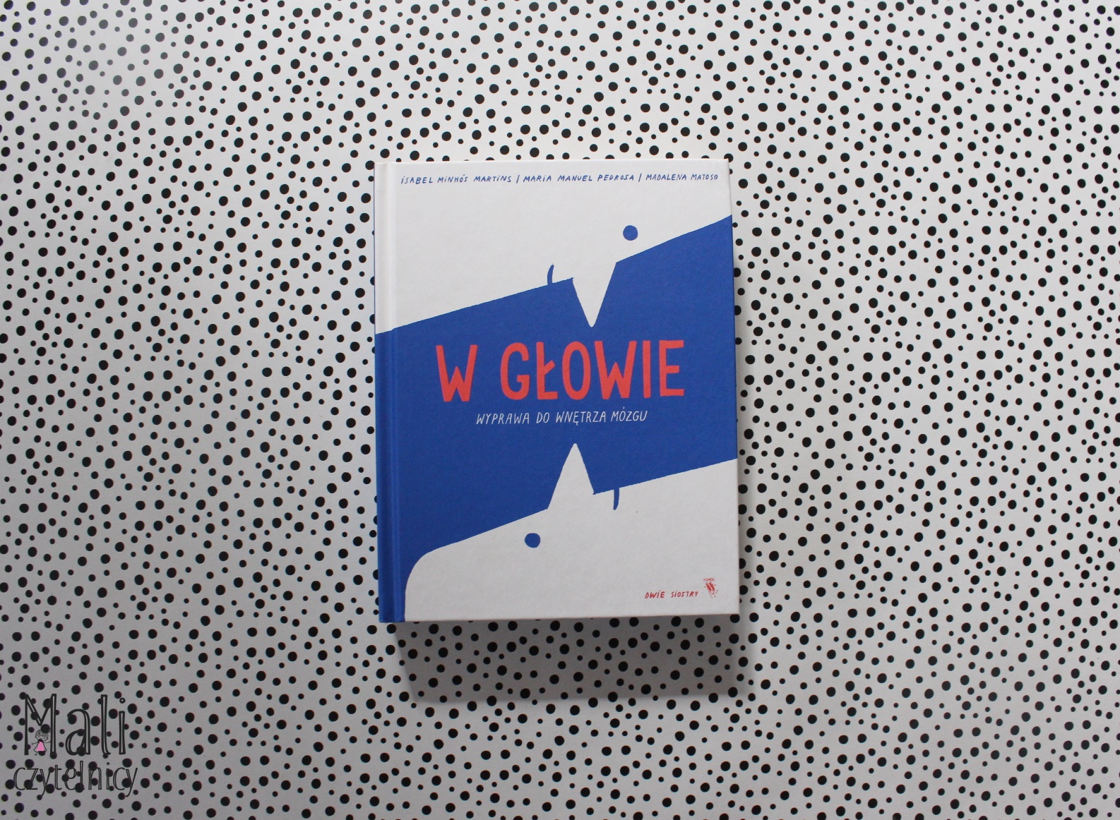 W głowie. Wyprawa do wnętrza mózgu