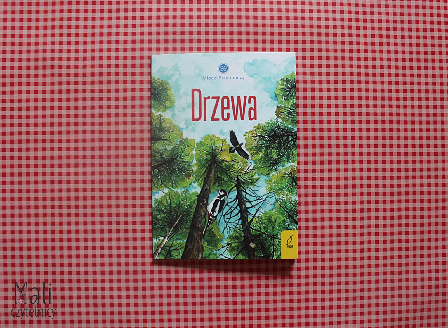 Seria Młodzi Przyrodnicy: Drzewa