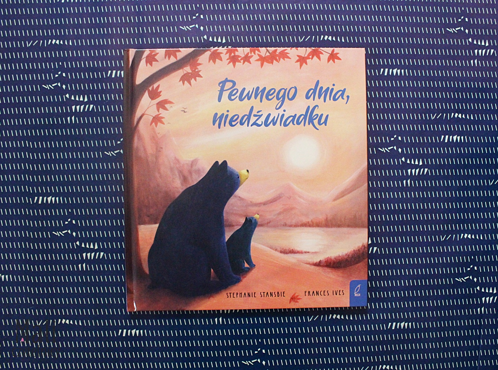 Pewnego dnia, niedźwiadku
