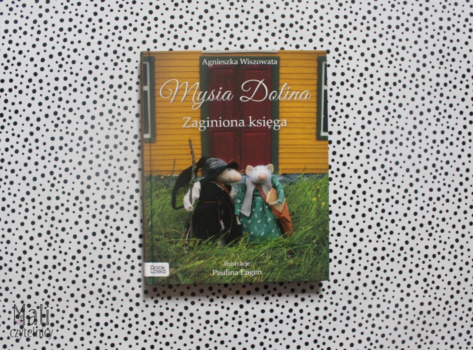 Mysia Dolina. Zaginiona księga