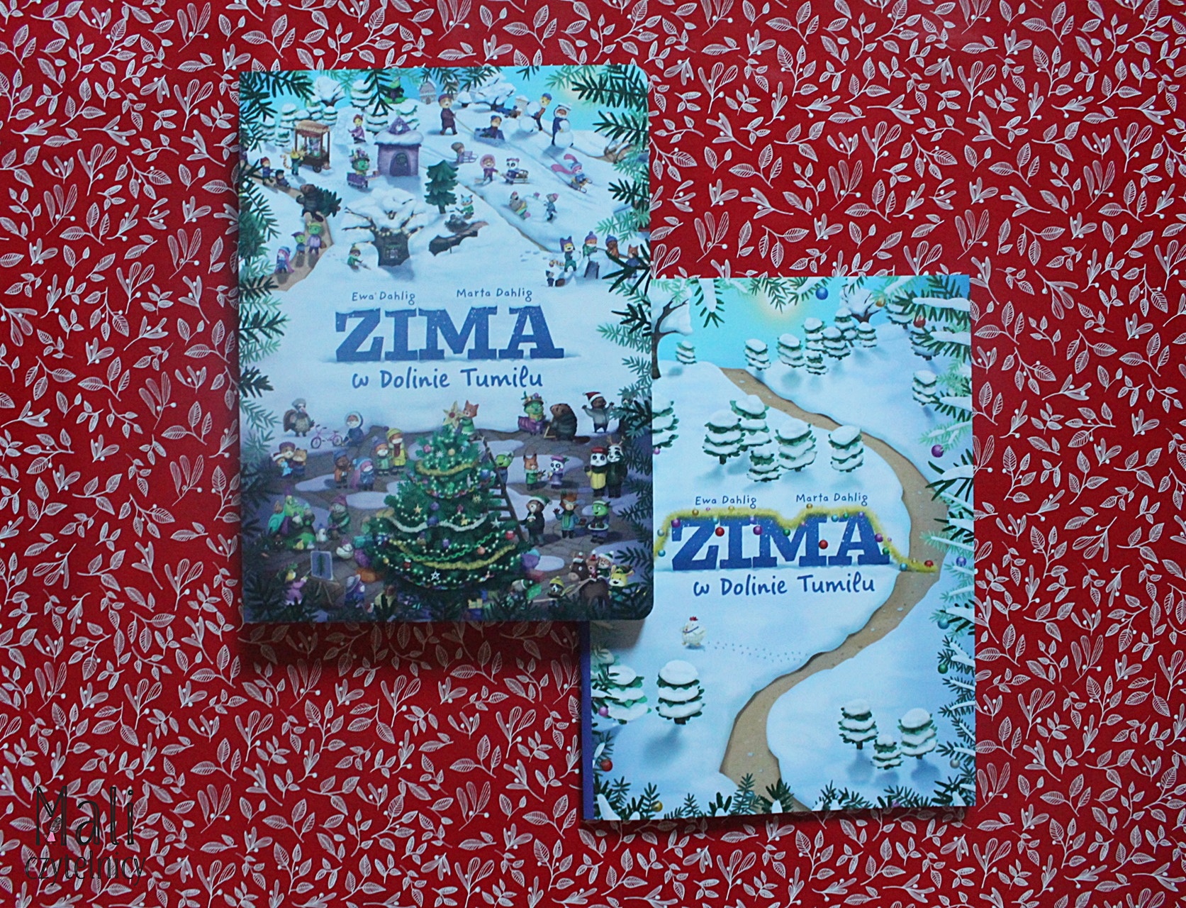 Zima w Dolinie Tumilu