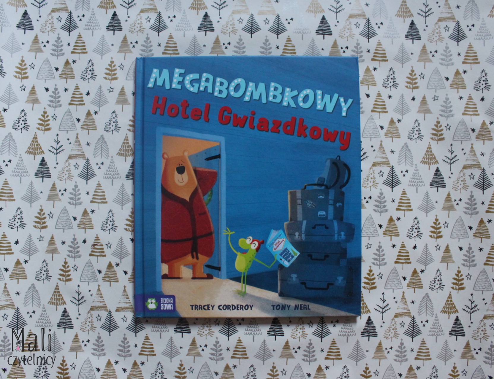 Megabombkowy Hotel Gwiazdkowy