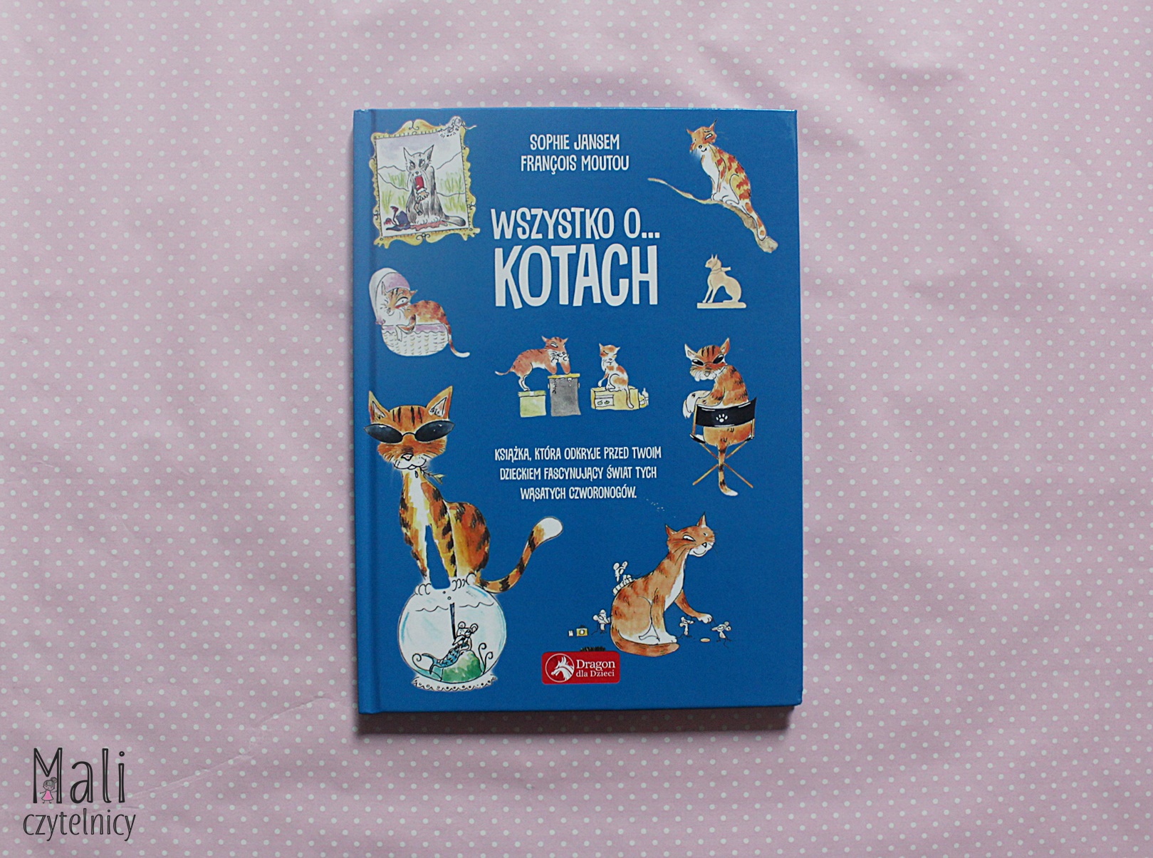 Wszystko o… kotach