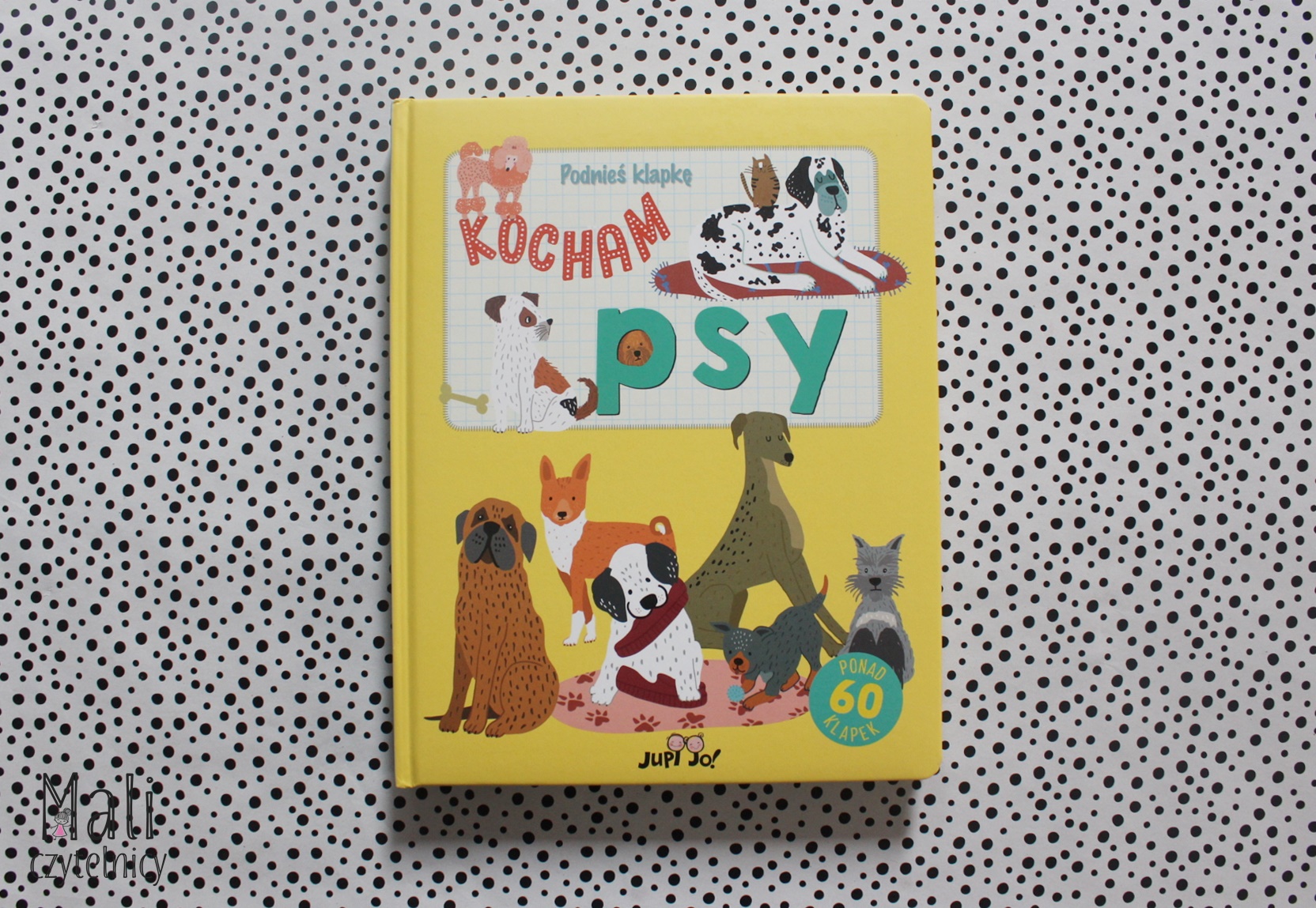 Podnieś klapkę. Kocham psy – Patronat