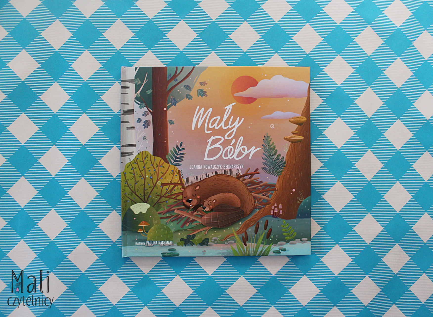 Mały Bóbr