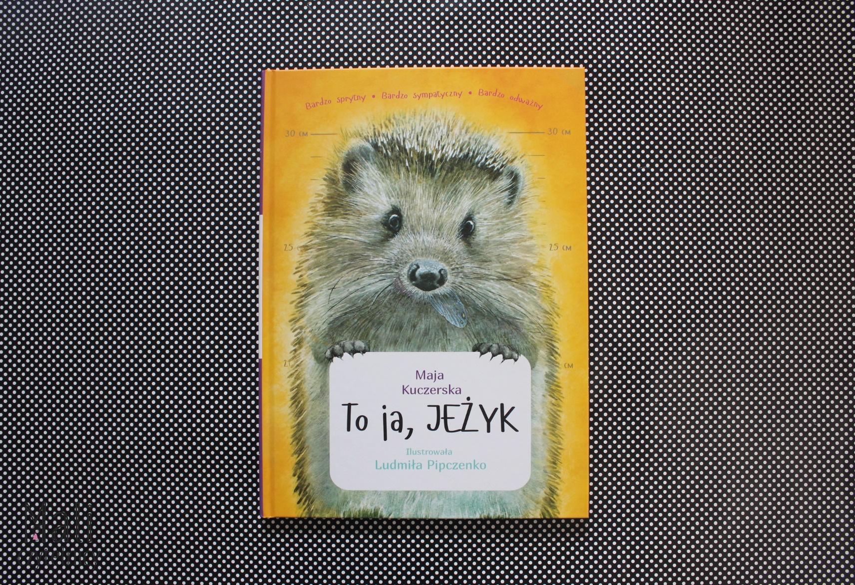 To ja, Jeżyk
