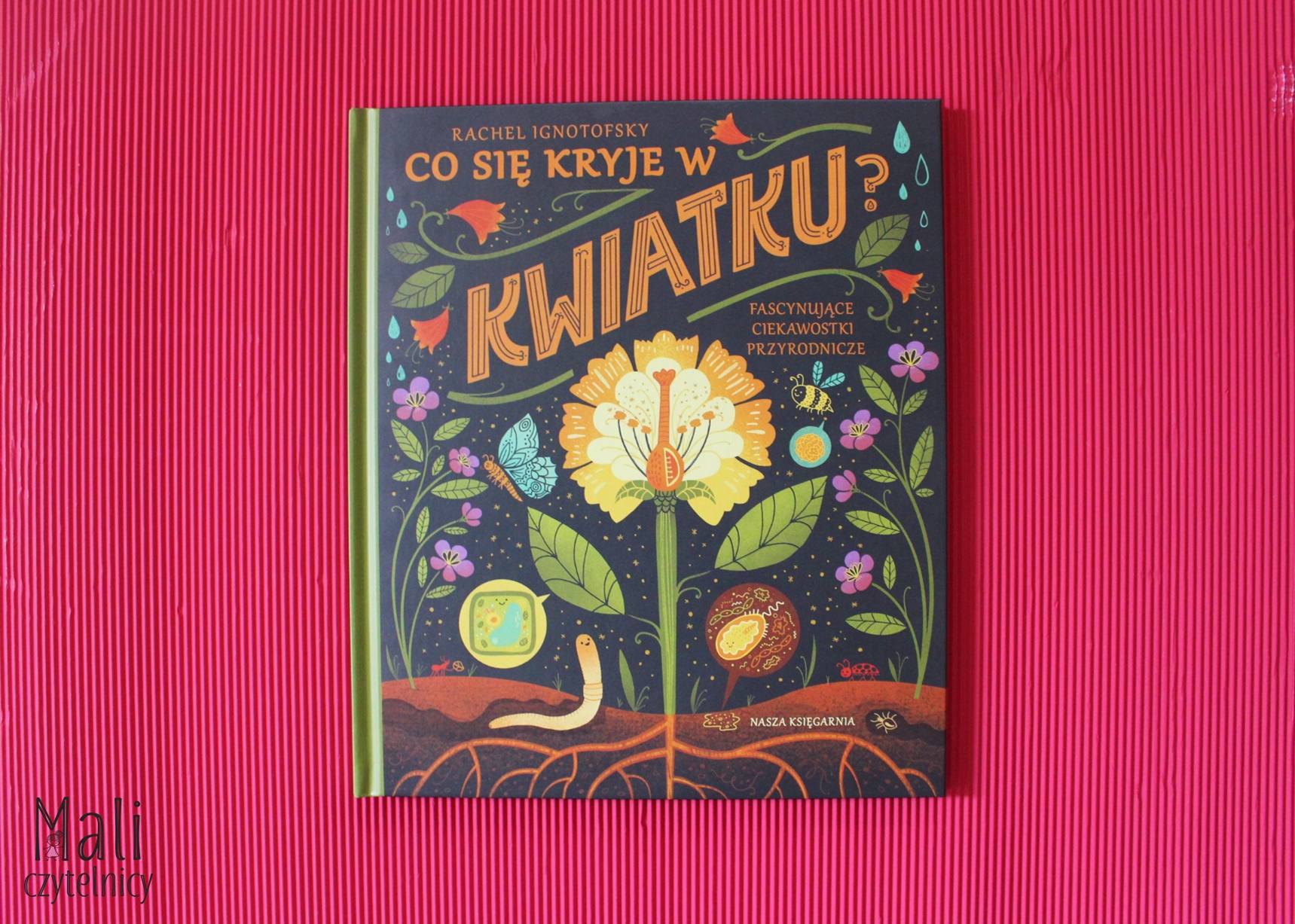 Co się kryje w kwiatku? Fascynujące ciekawostki przyrodnicze