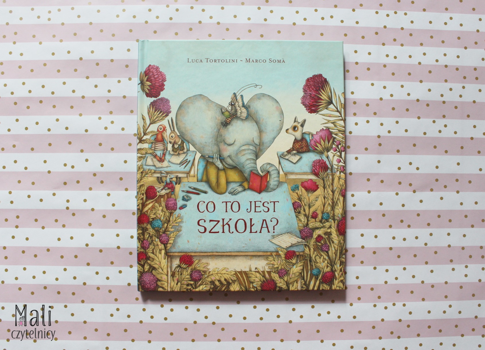 Co to jest szkoła?