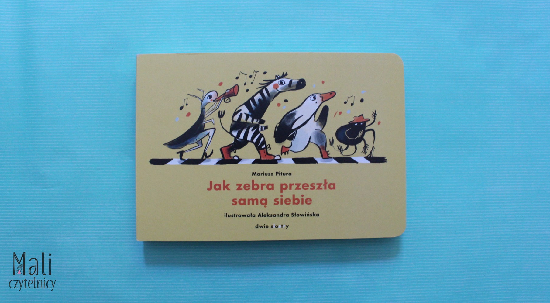 Jak zebra przeszła samą siebie