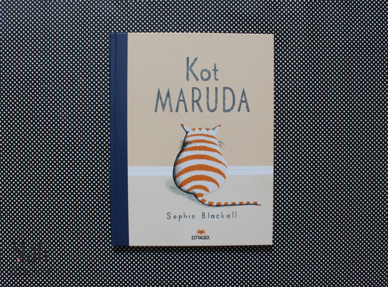 Kot Maruda – Patronat