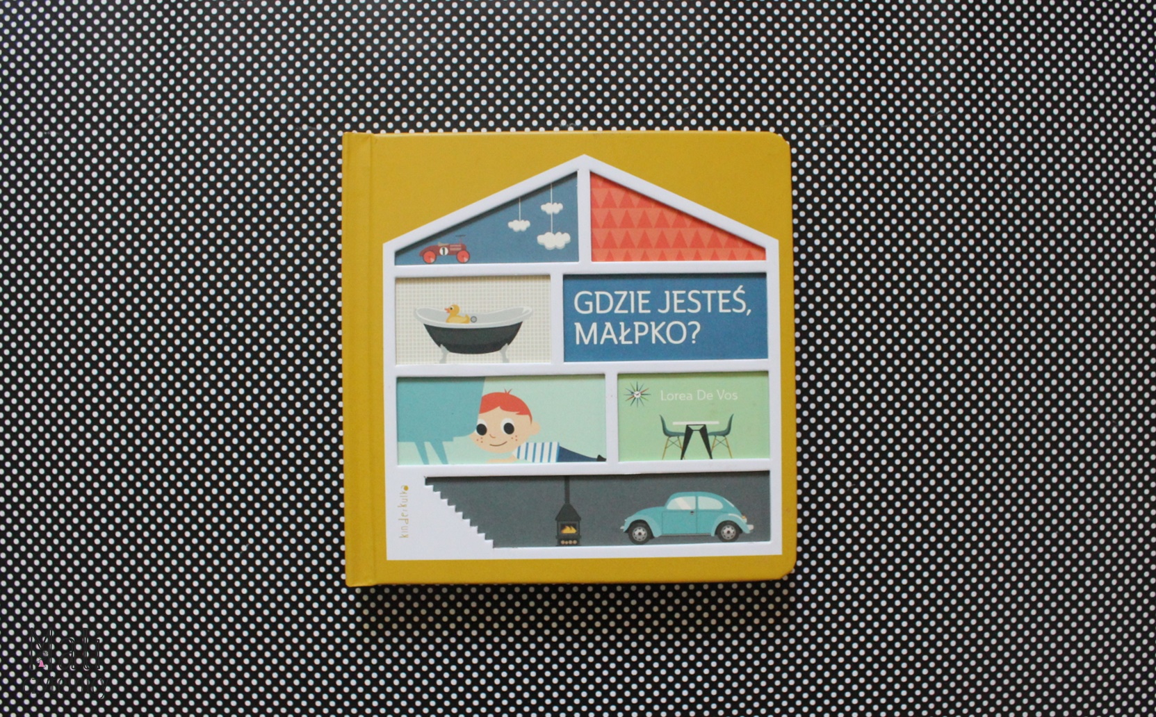 Gdzie jesteś małpko?