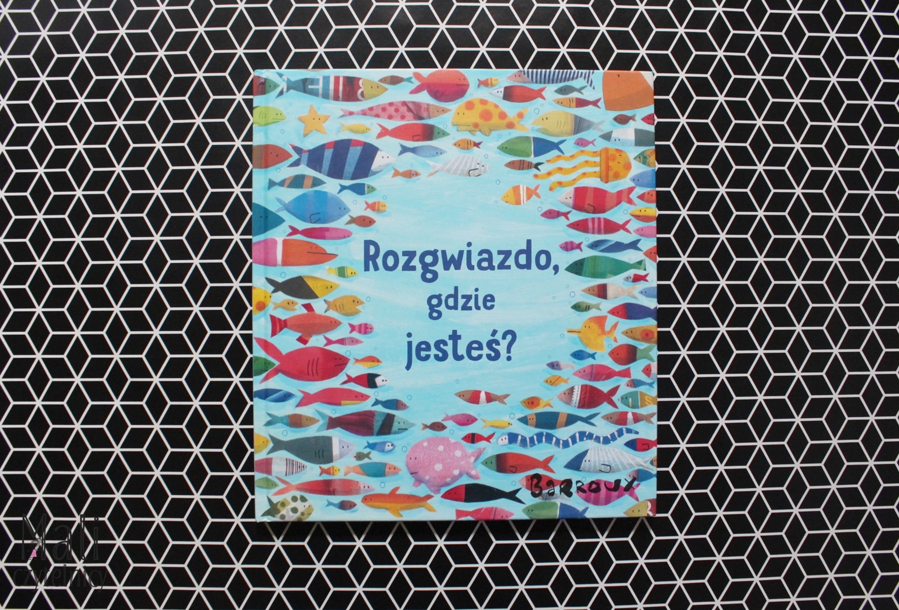 Rozgwiazdo, gdzie jesteś?