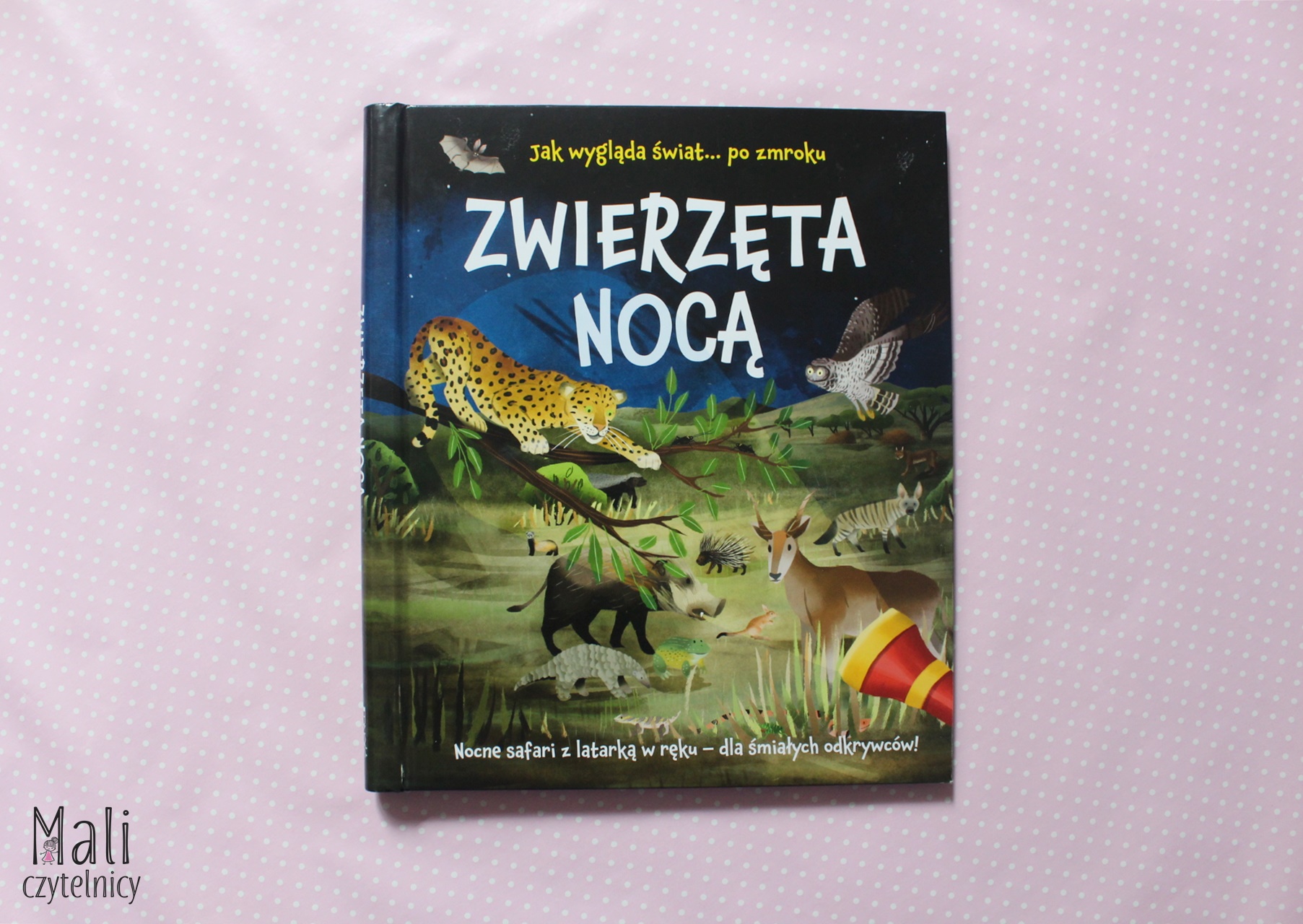 Zwierzęta nocą