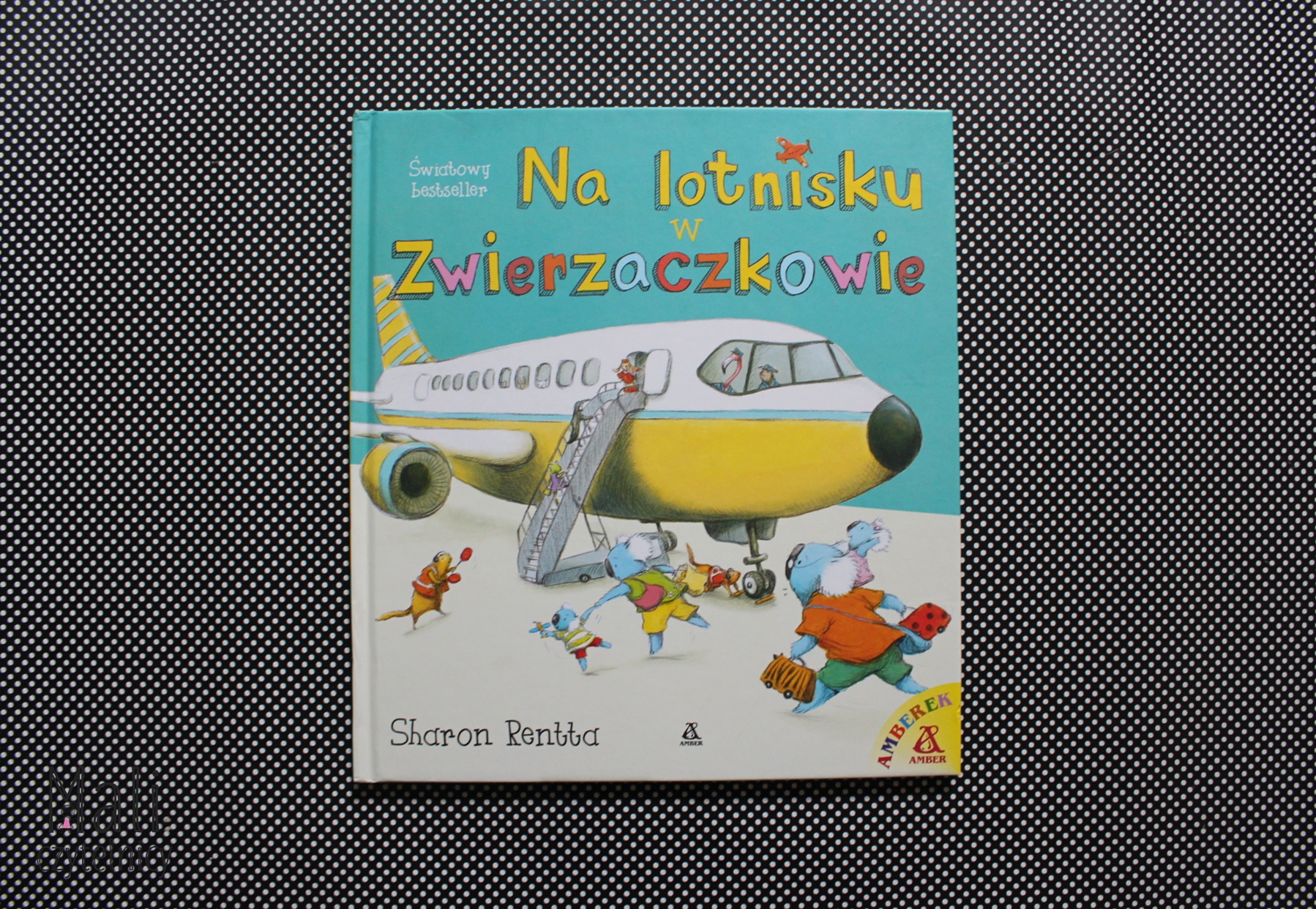 Na lotnisku w Zwierzaczkowie