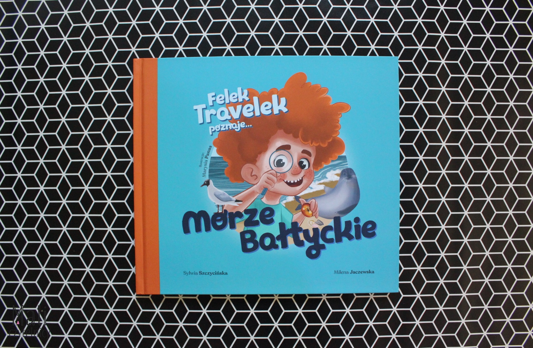 Felek Travelek poznaje Morze Bałtyckie