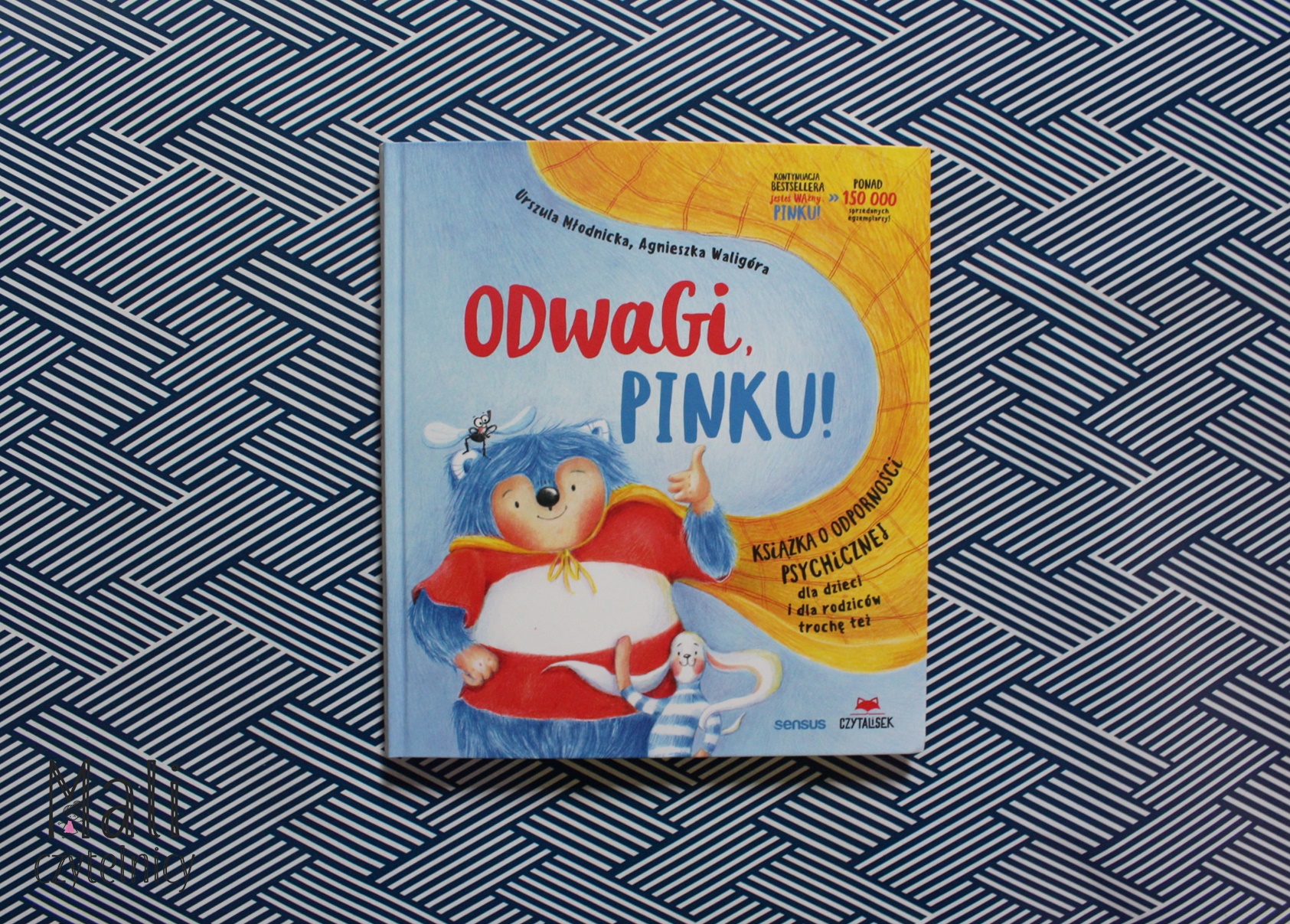 Odwagi, Pinku! Książka o odporności psychicznej dla dzieci i rodziców trochę też