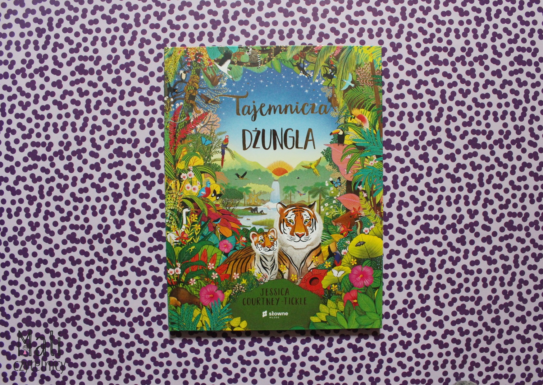 Tajemnicza dżungla