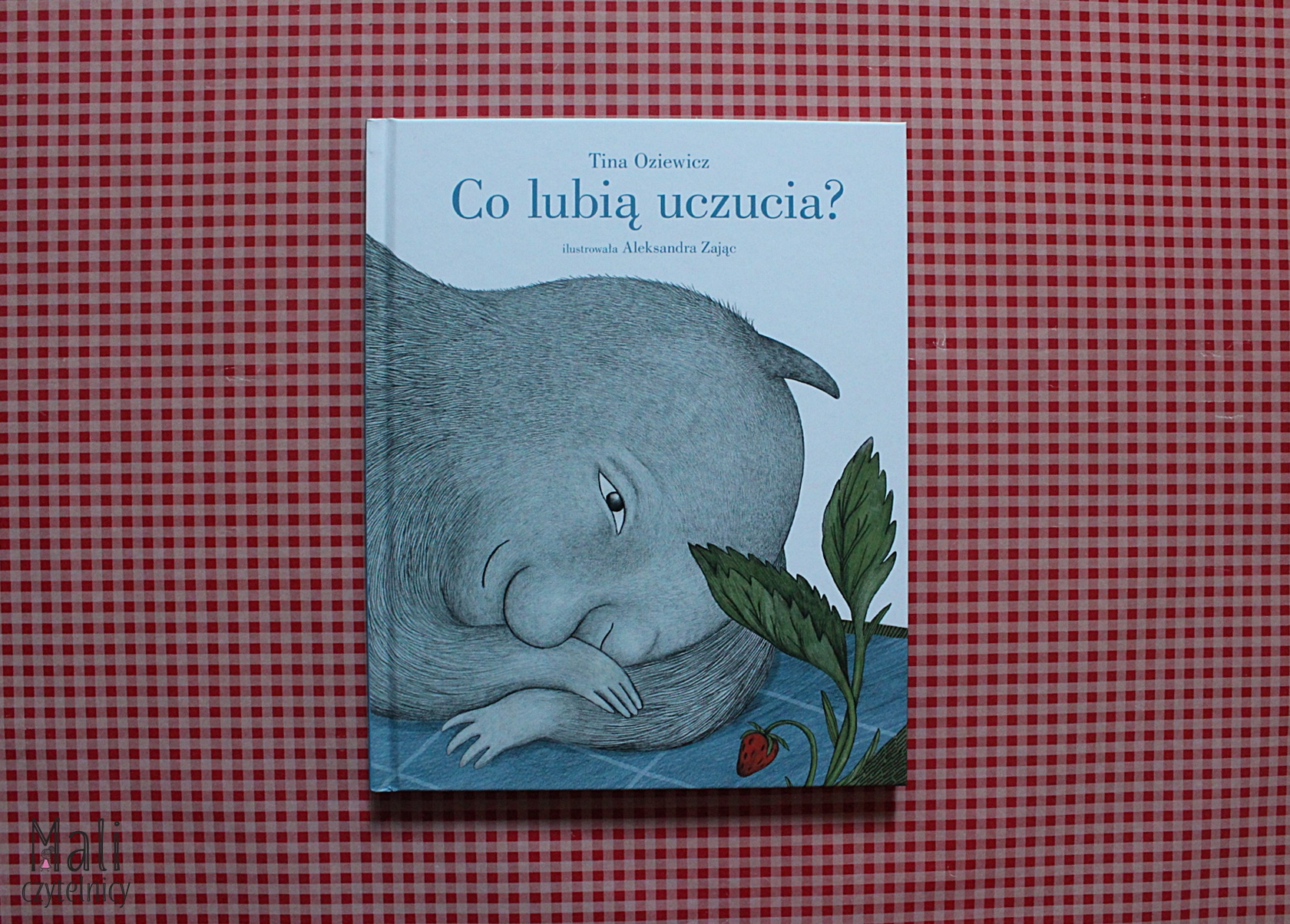 Co lubią uczucia?