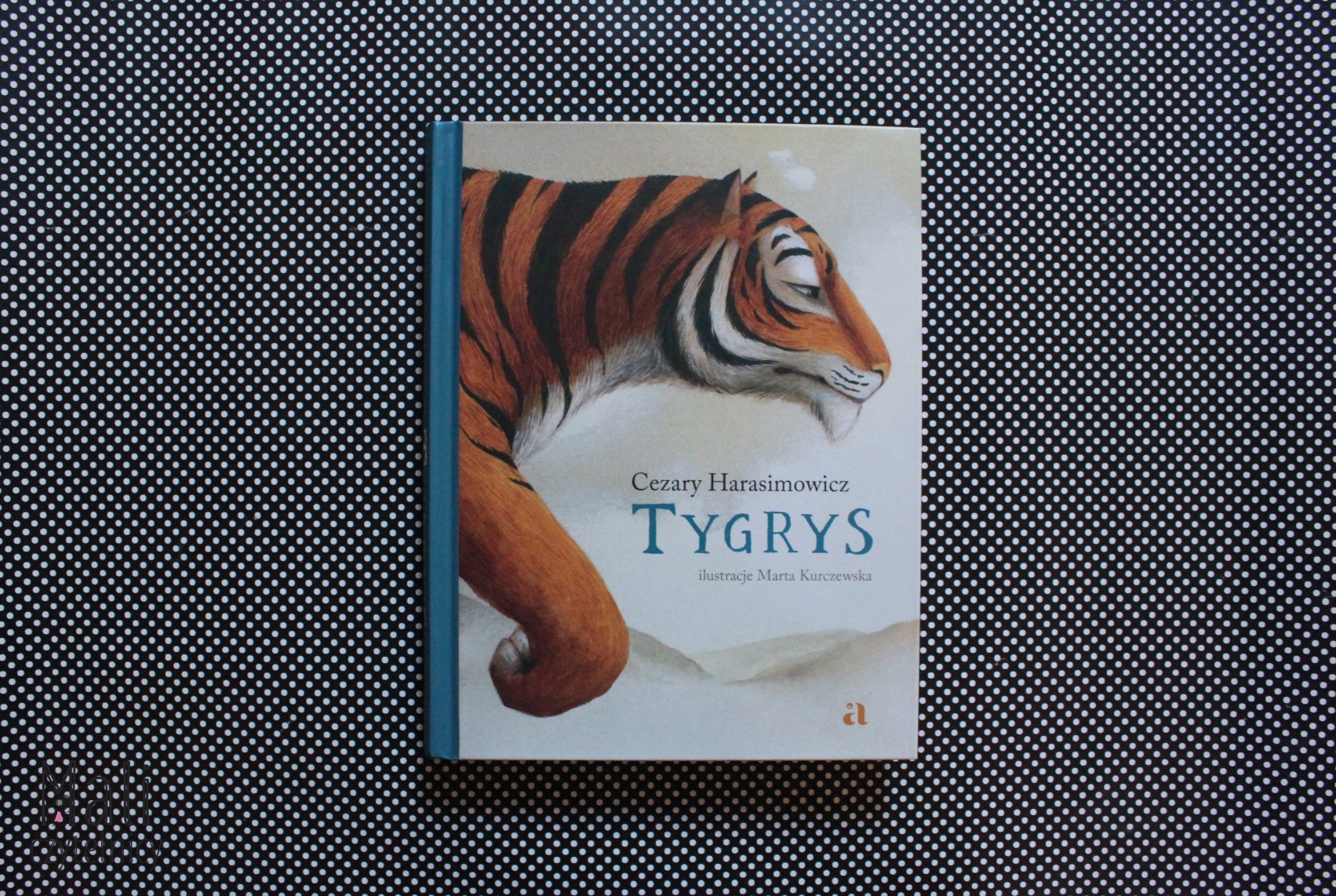 Tygrys