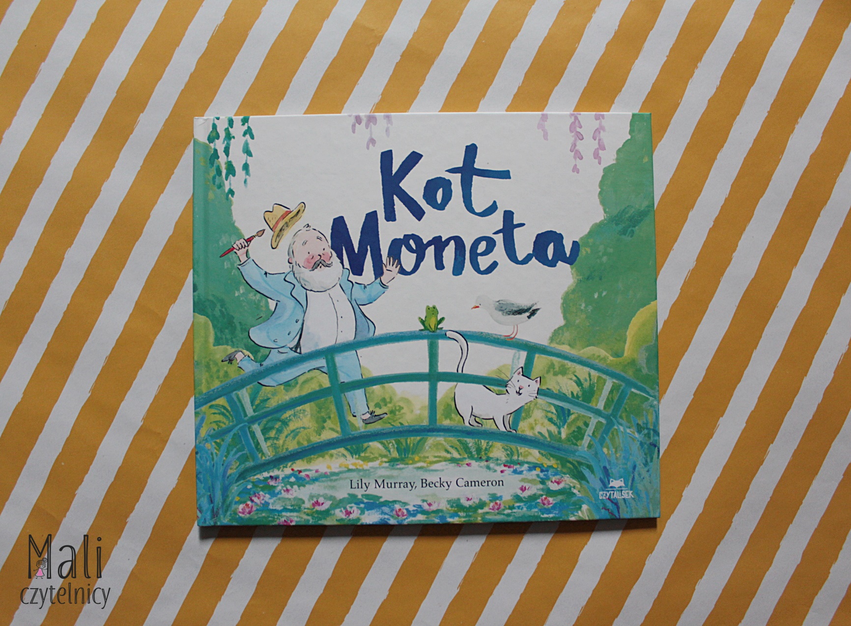 Kot Moneta