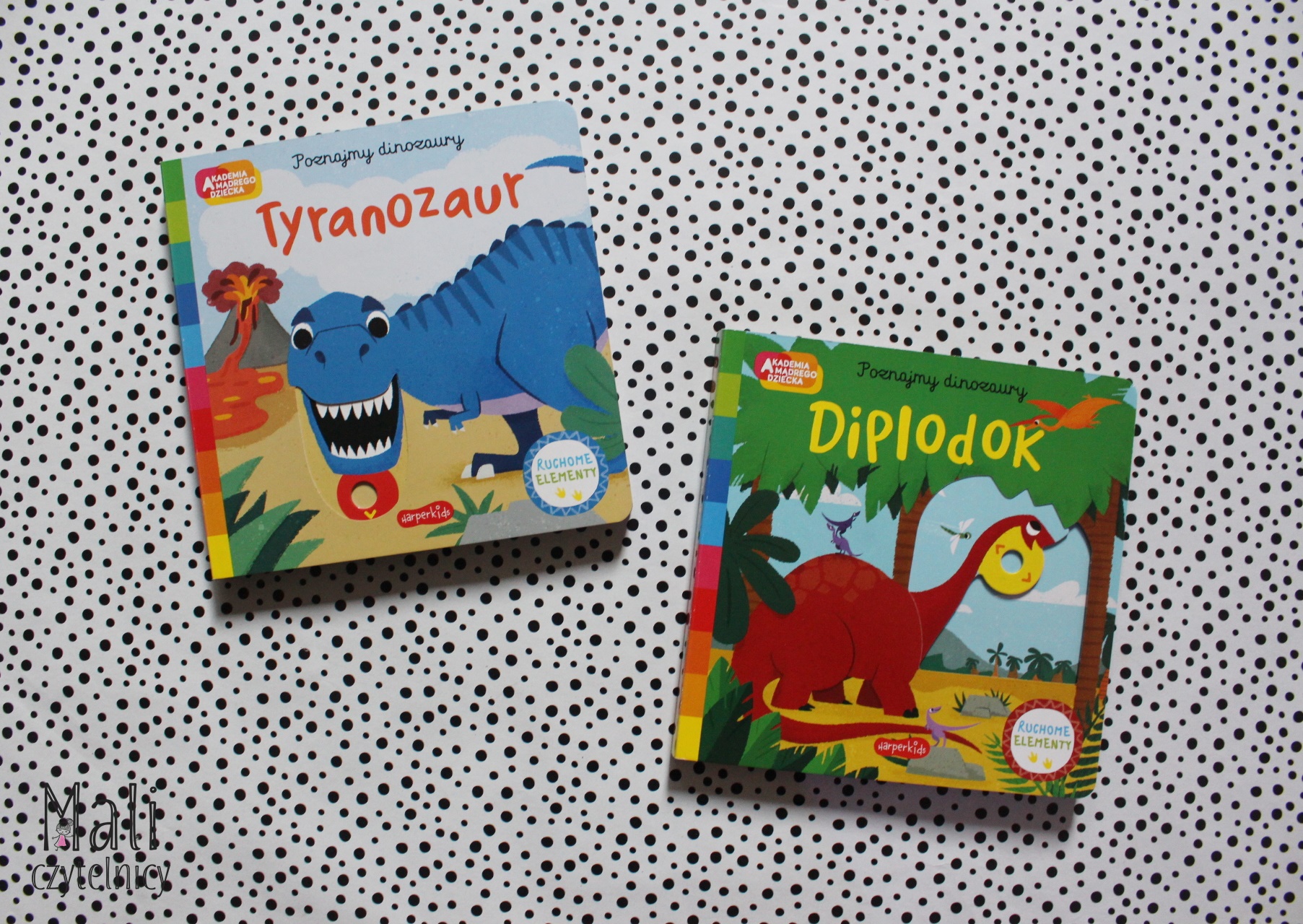 Seria Poznajemy dinozaury: Tyranozaur / Diplodok