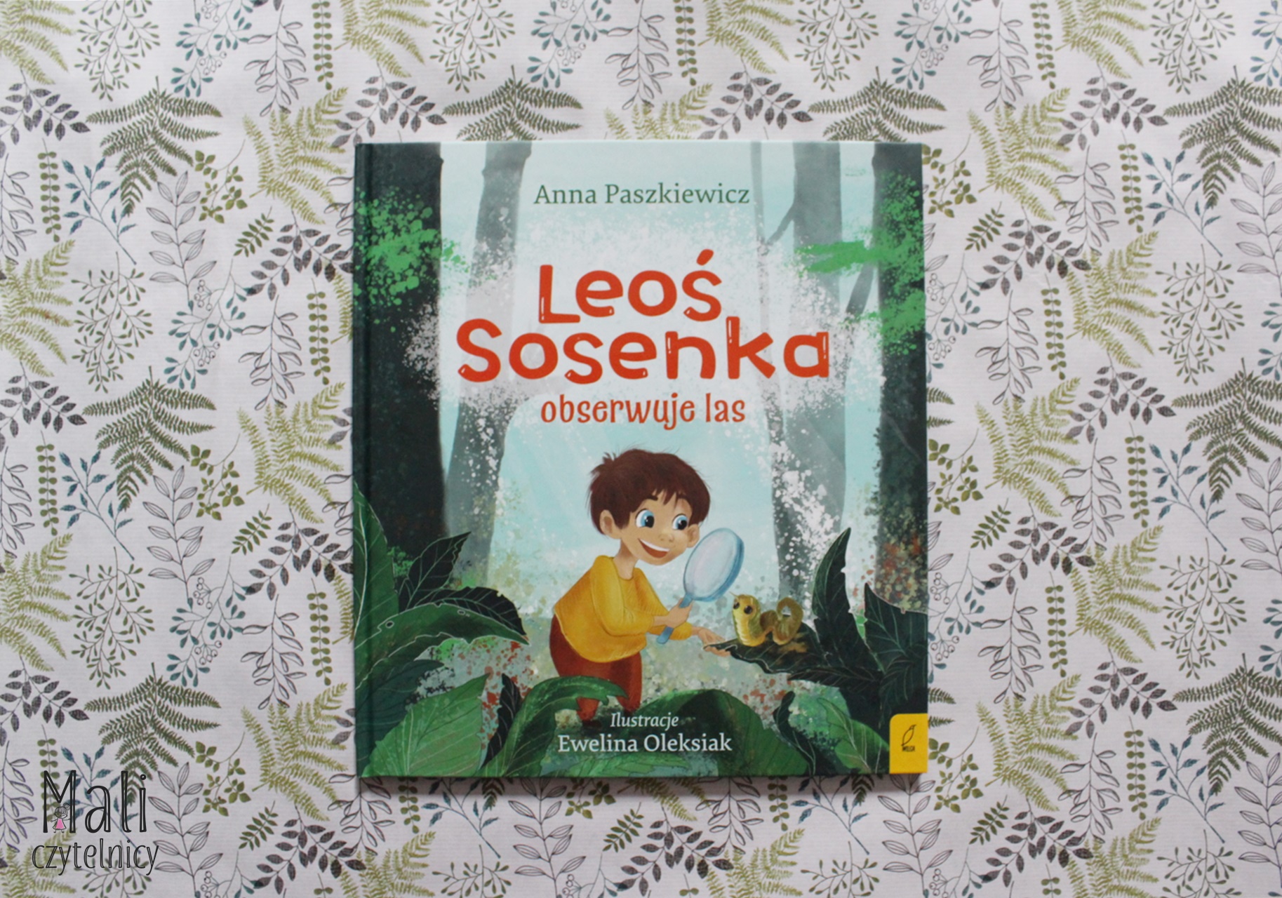 Leoś Sosenka obserwuje las