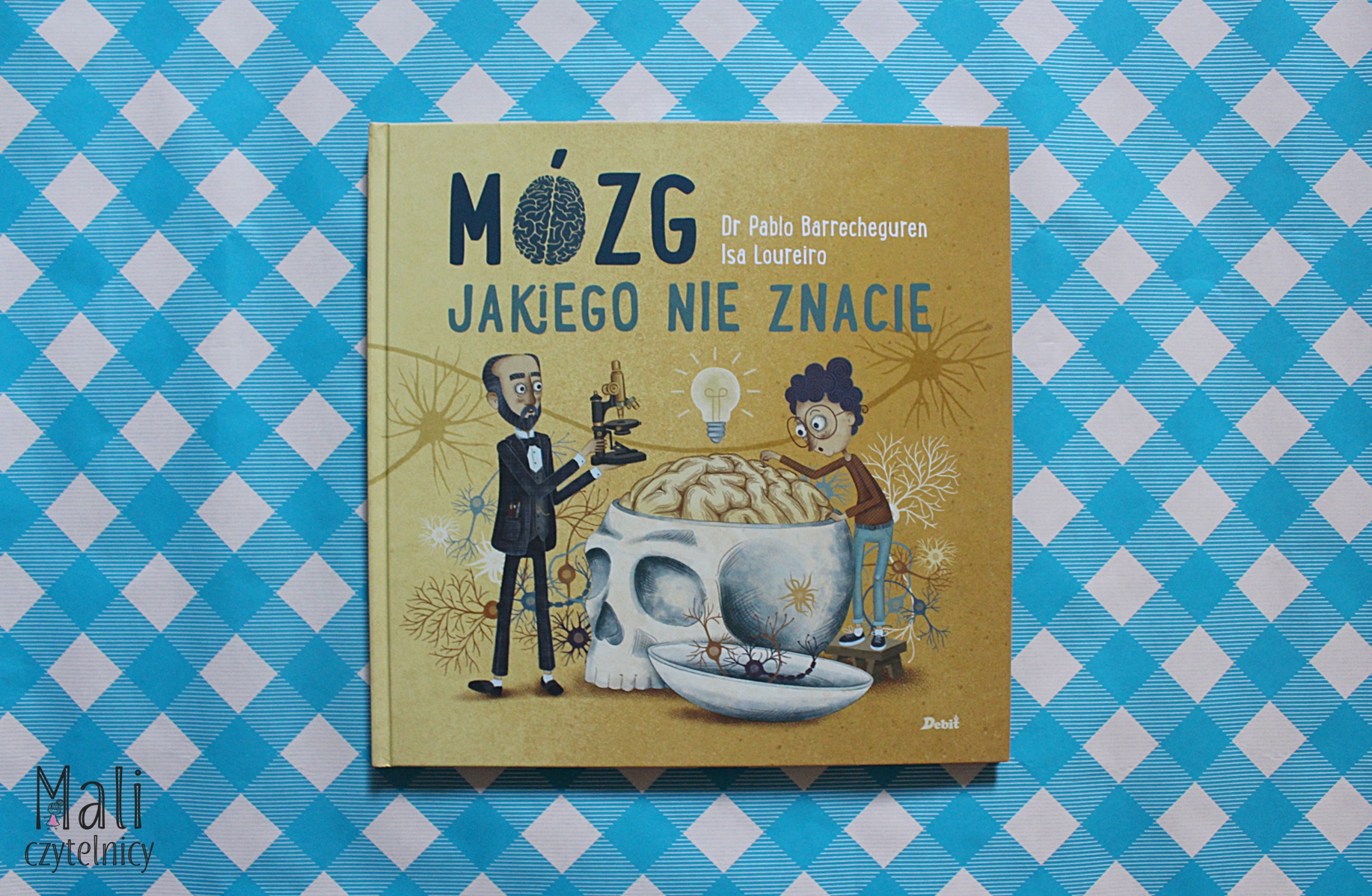 Mózg jakiego nie znacie