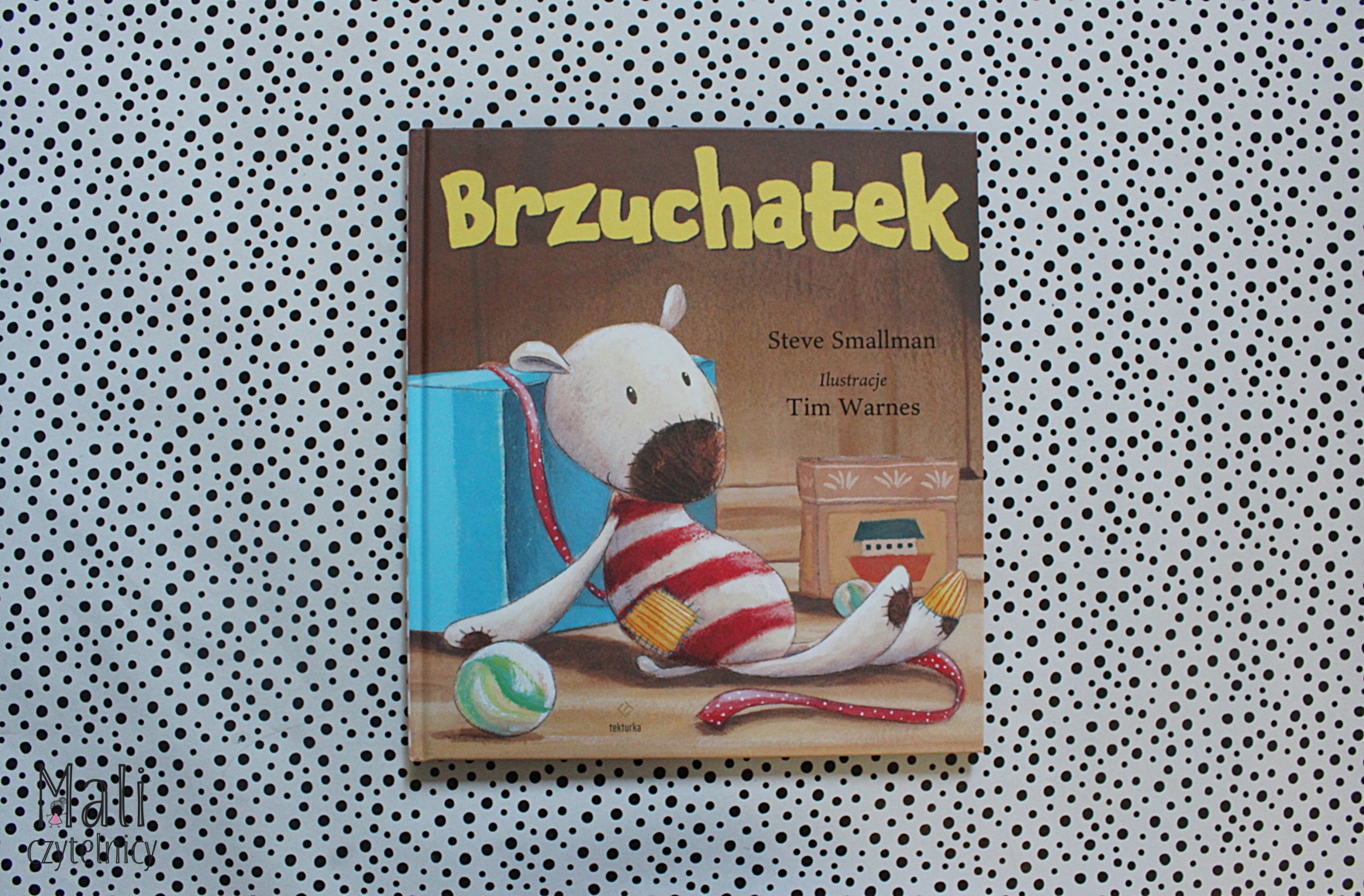 Brzuchatek