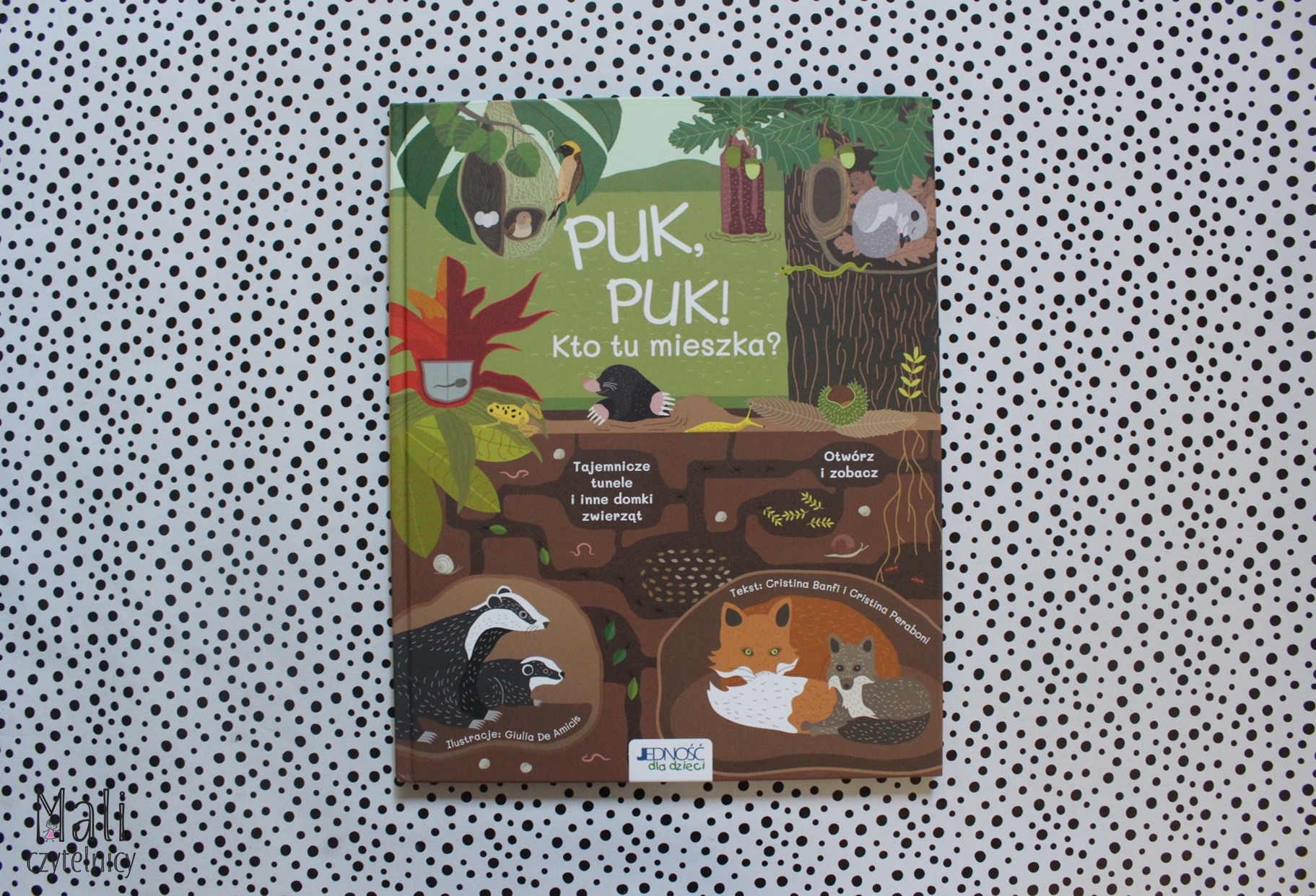 Puk puk! Kto tu mieszka?