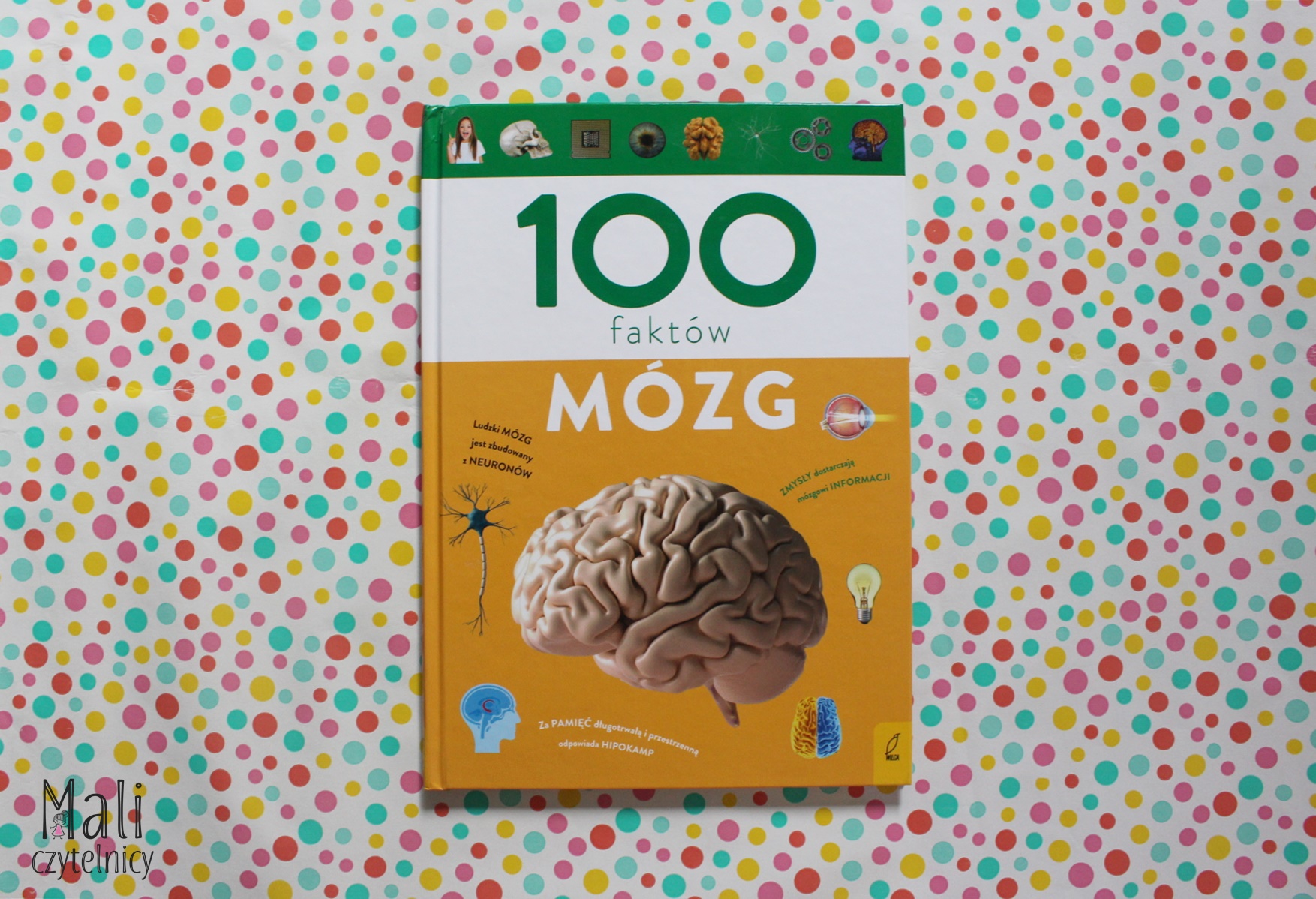 100 faktów. Mózg