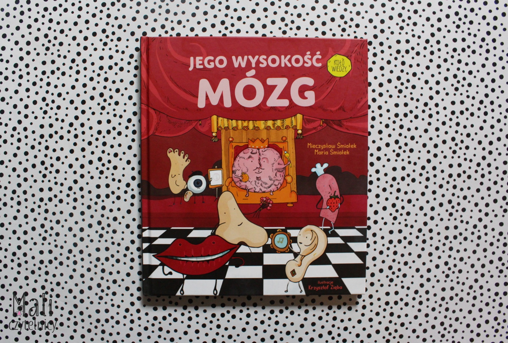 Jego wysokość mózg
