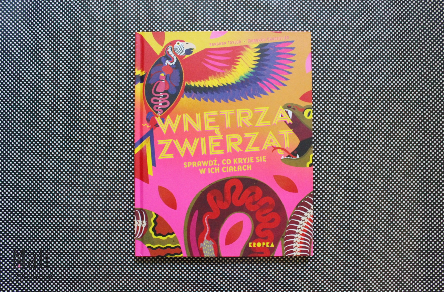 Wnętrza zwierząt