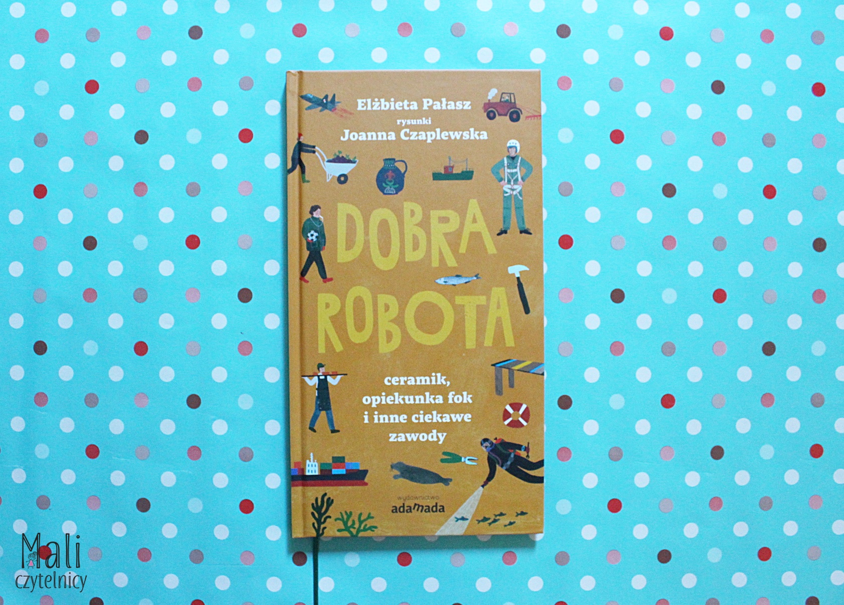 Dobra robota. Ceramik, opiekunka fok i inne ciekawe zawody