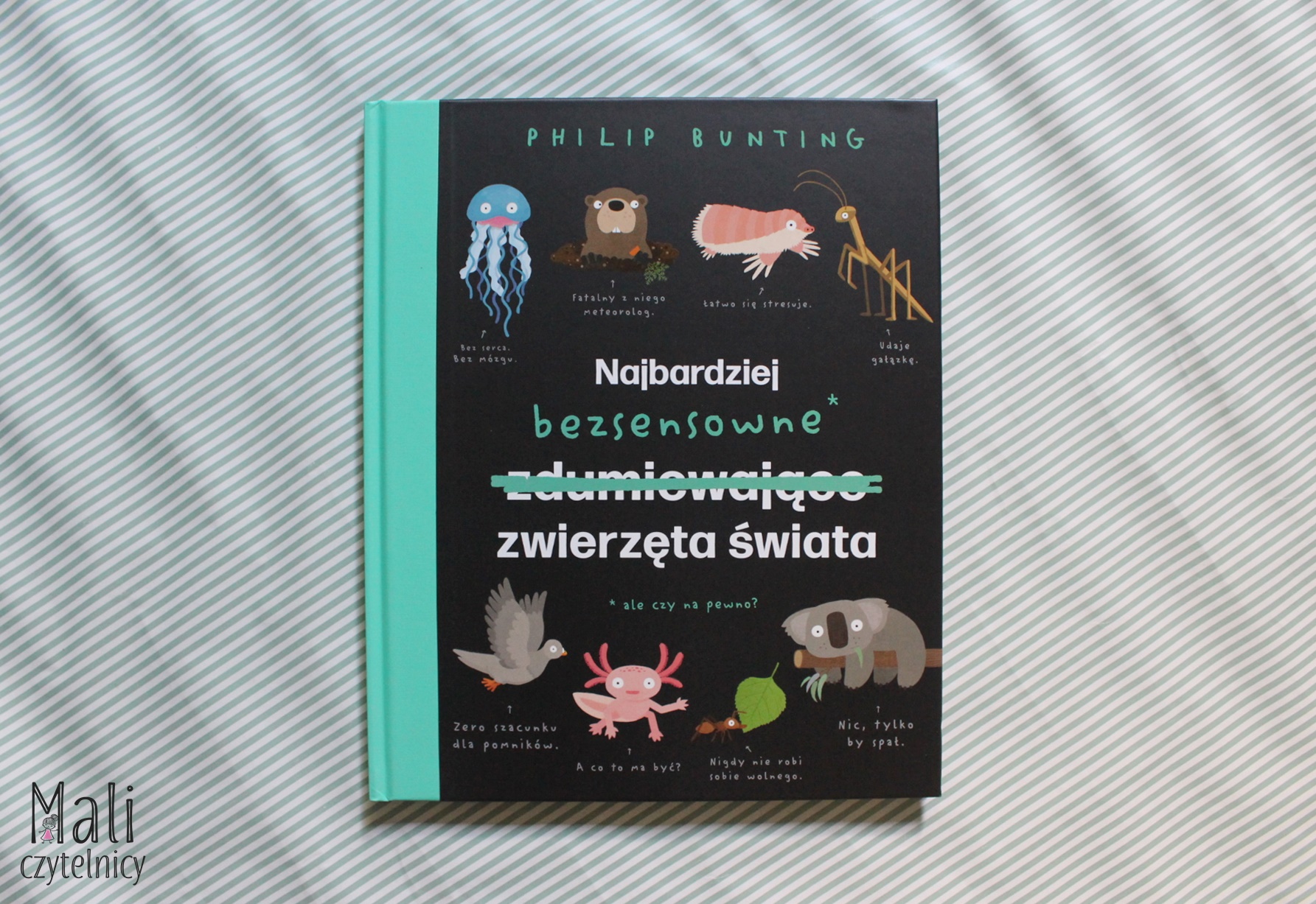 Najbardziej bezsensowne zwierzęta świata