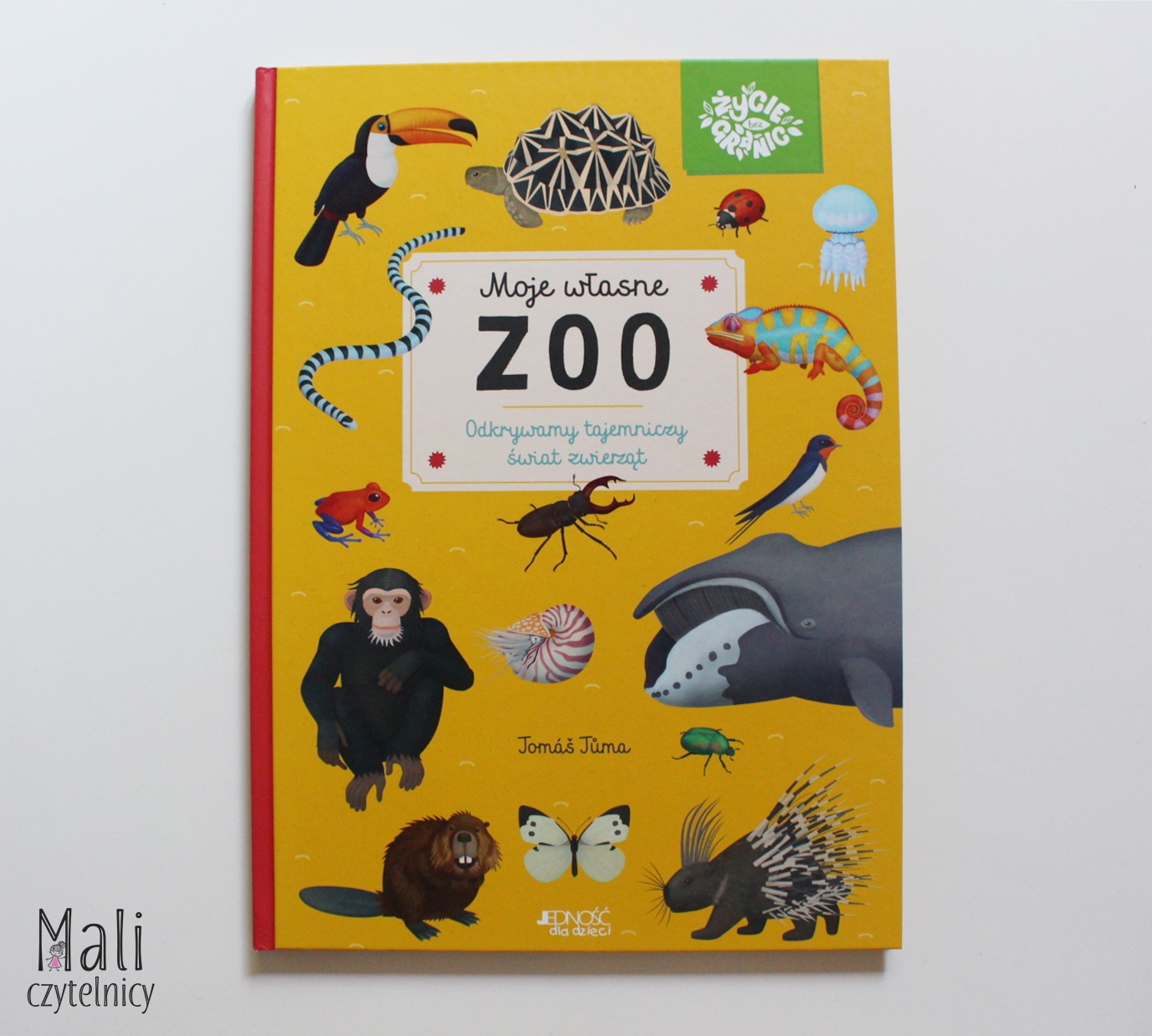 Moje własne zoo. Odkrywamy tajemniczy świat zwierząt
