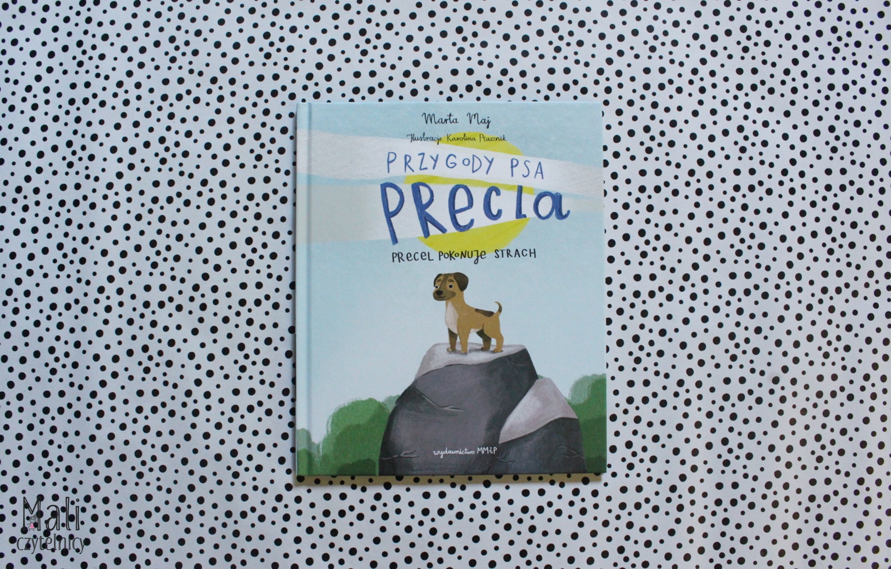 Przygody psa Precla. Precel pokonuje strach