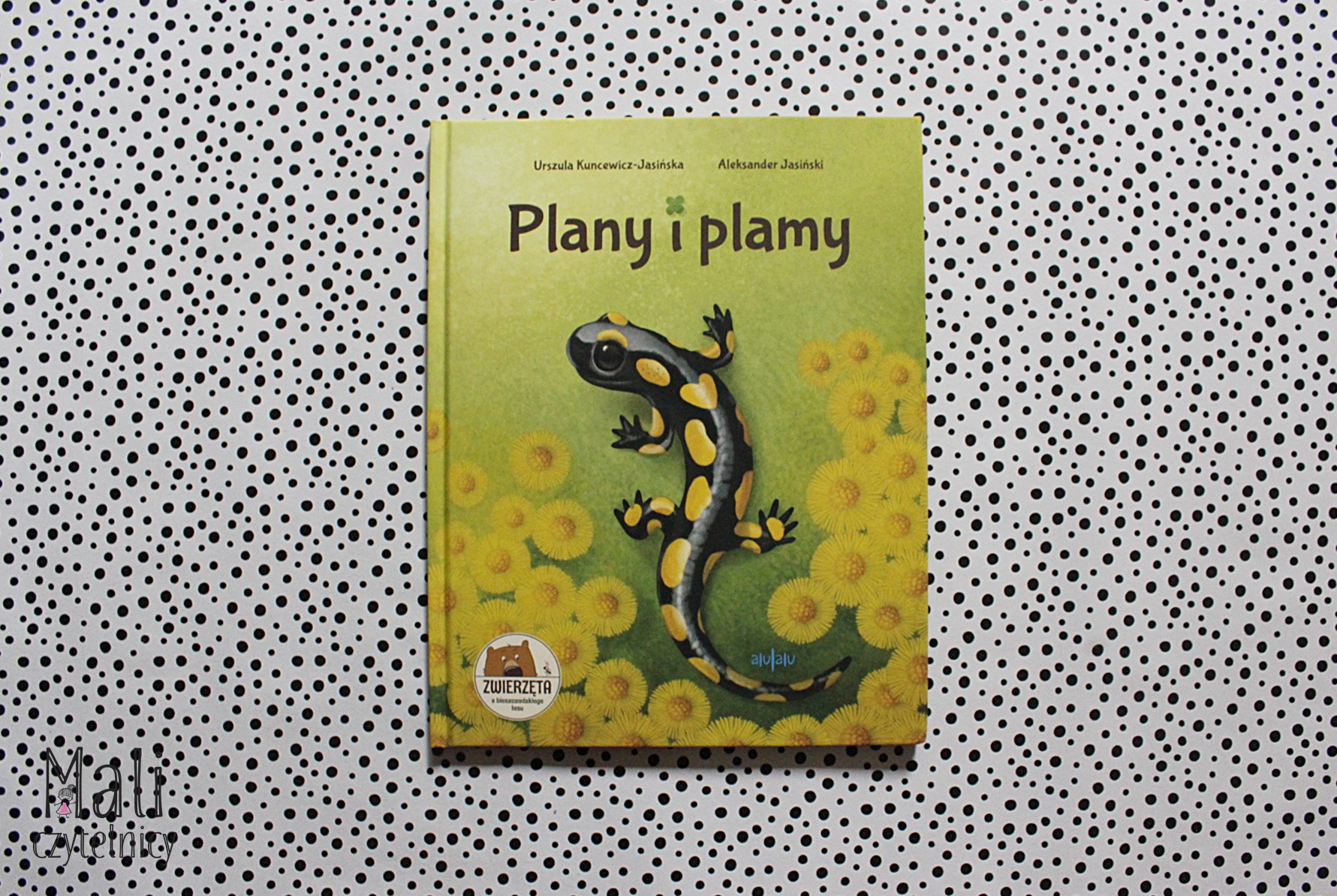 Plany i plamy – Patronat