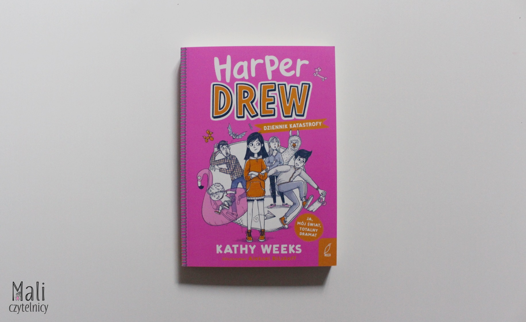 Harper Drew. Dziennik katastrofy