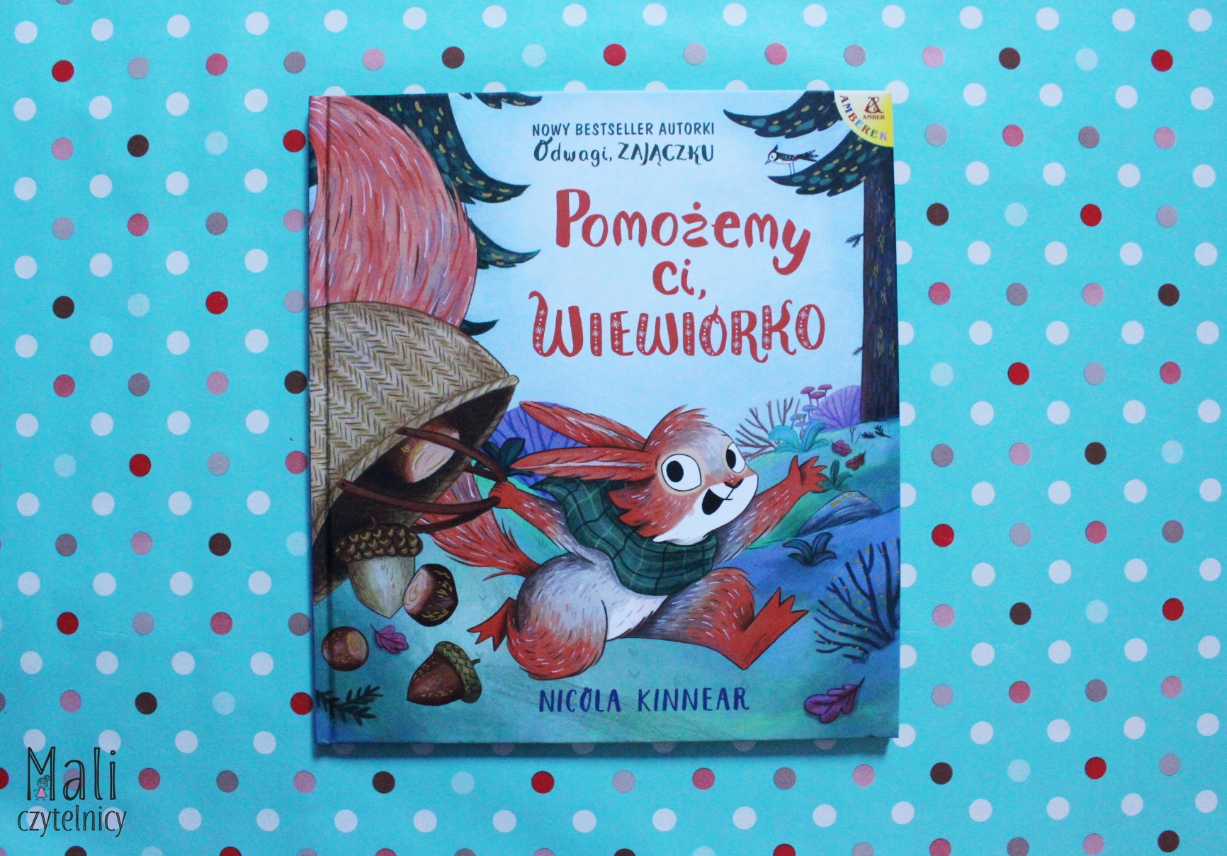 Pomożemy ci, wiewiórko