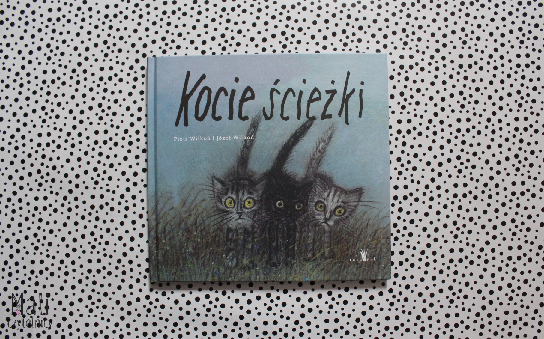 Kocie ścieżki