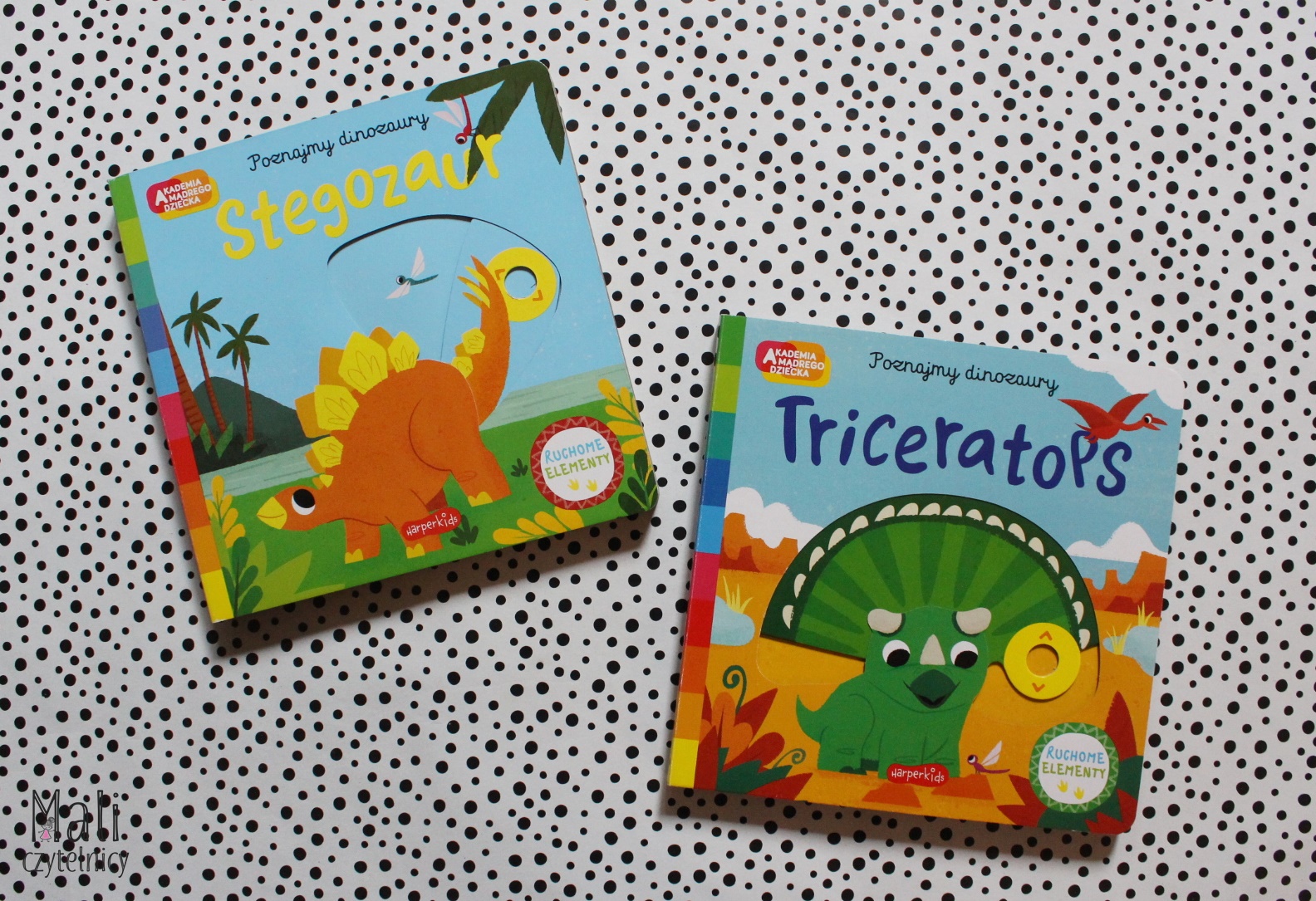 Seria Poznajemy dinozaury: Stegozaur / Triceratops