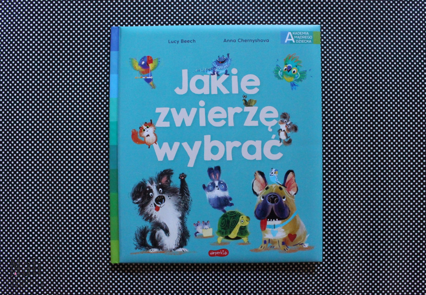 Ważne sprawy przedszkolaka. Jakie zwierzę wybrać