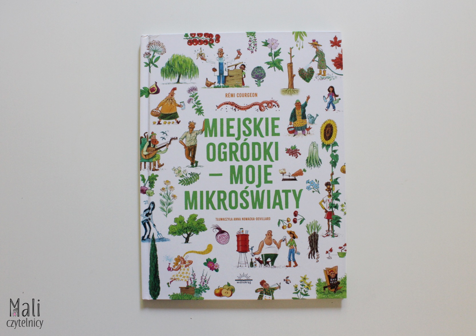 Miejskie ogródki – moje mikroświaty