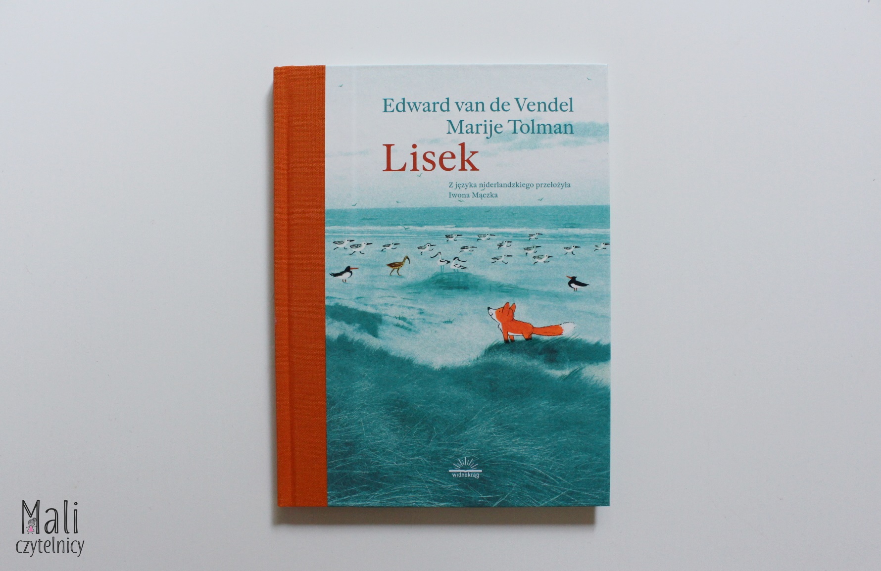 Lisek