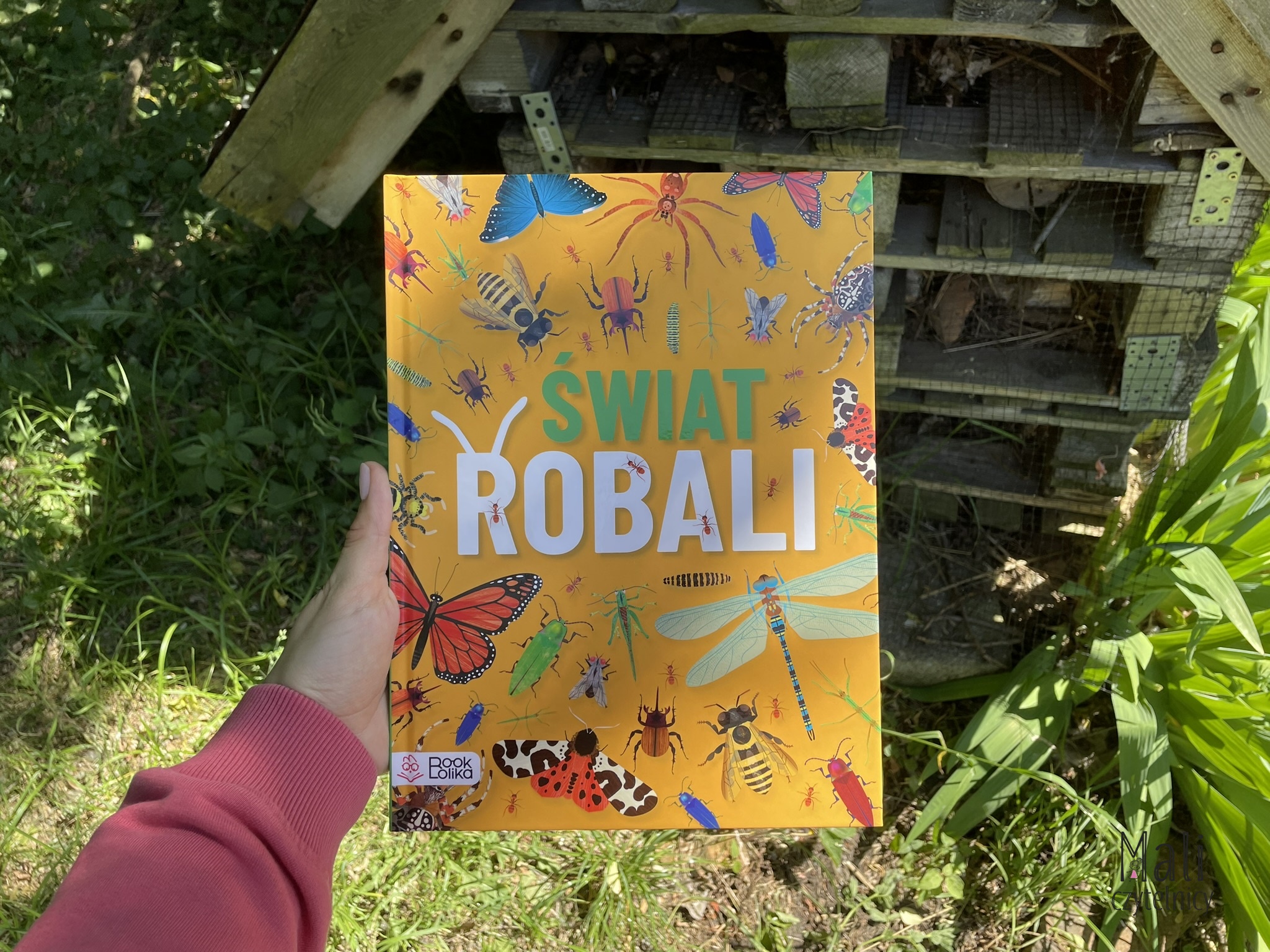 Świat robali – Patronat