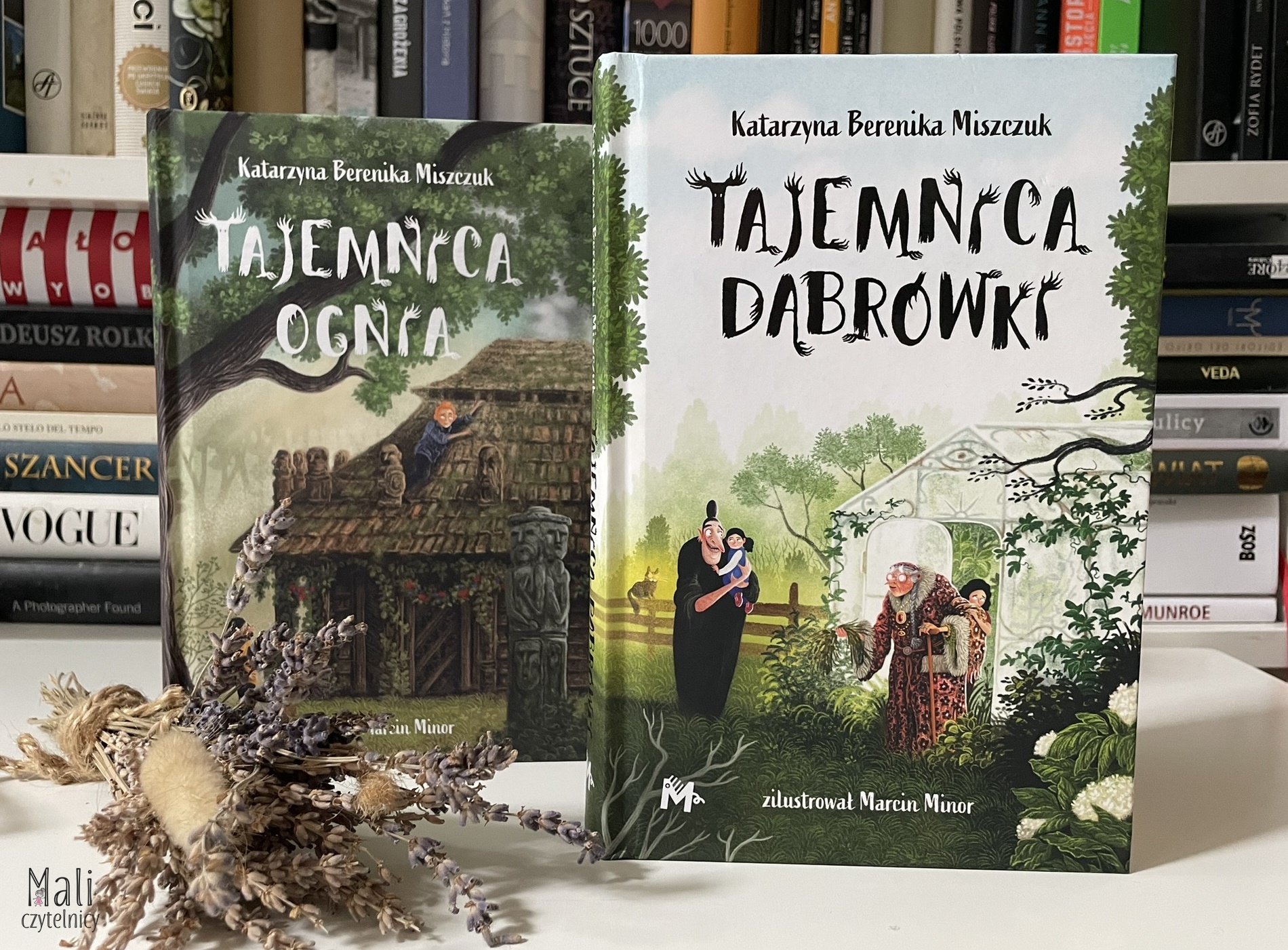 Tajemnica Dąbrówki / Tajemnica ognia